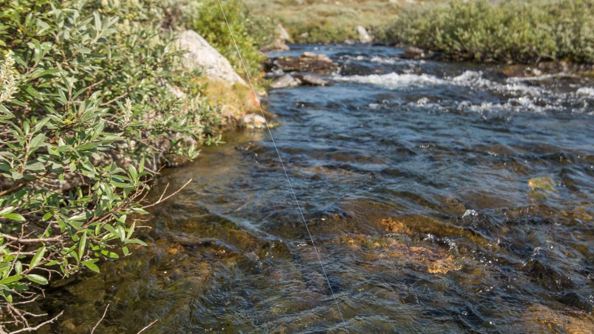 Fisketur med personlig guide