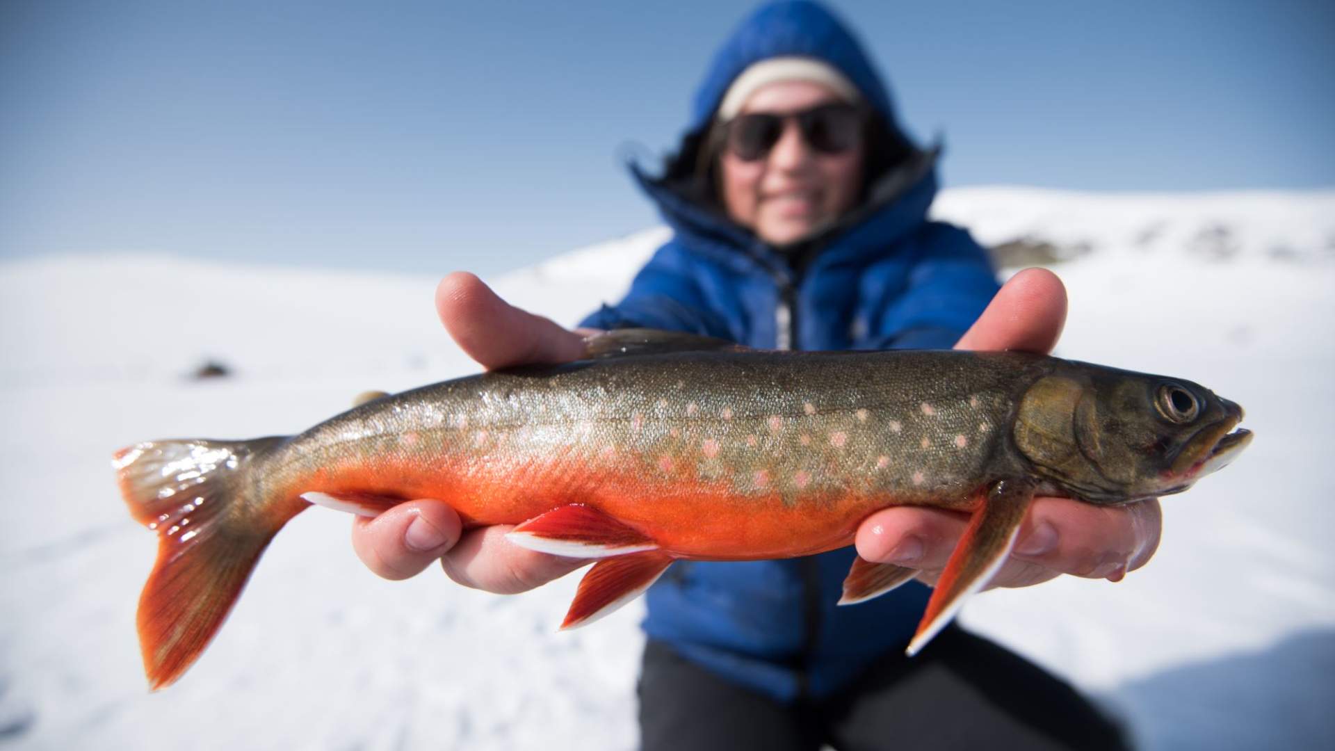 Isfiske med personlig guide.