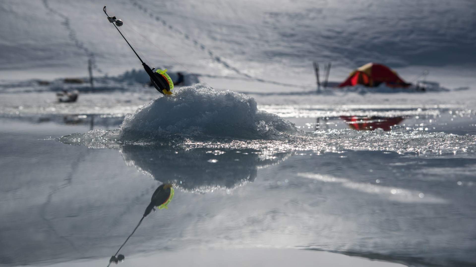 Isfiske med personlig guide.