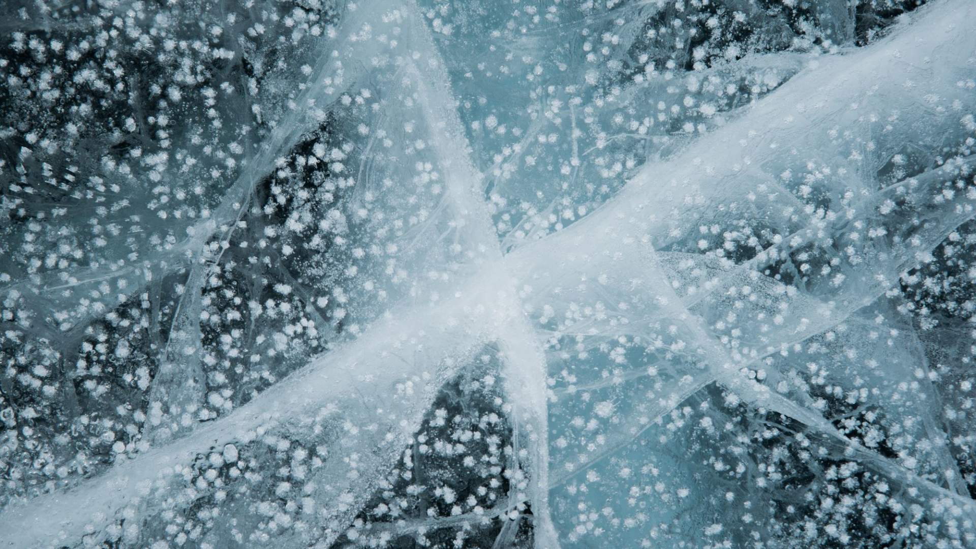 Isfiske med personlig guide.