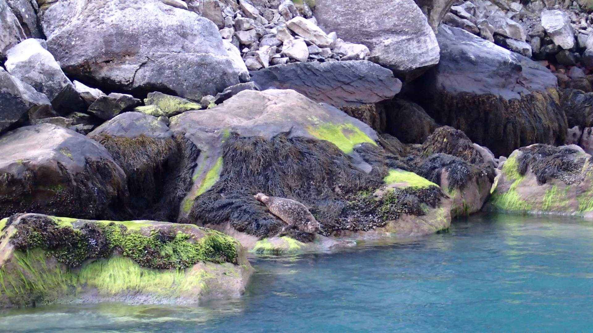 Svanerisers Villa Midnattsol