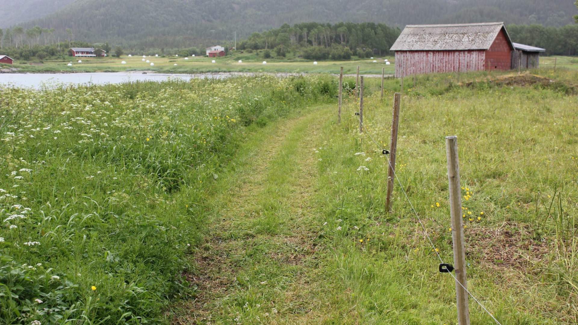 Holm Kulturminneløype