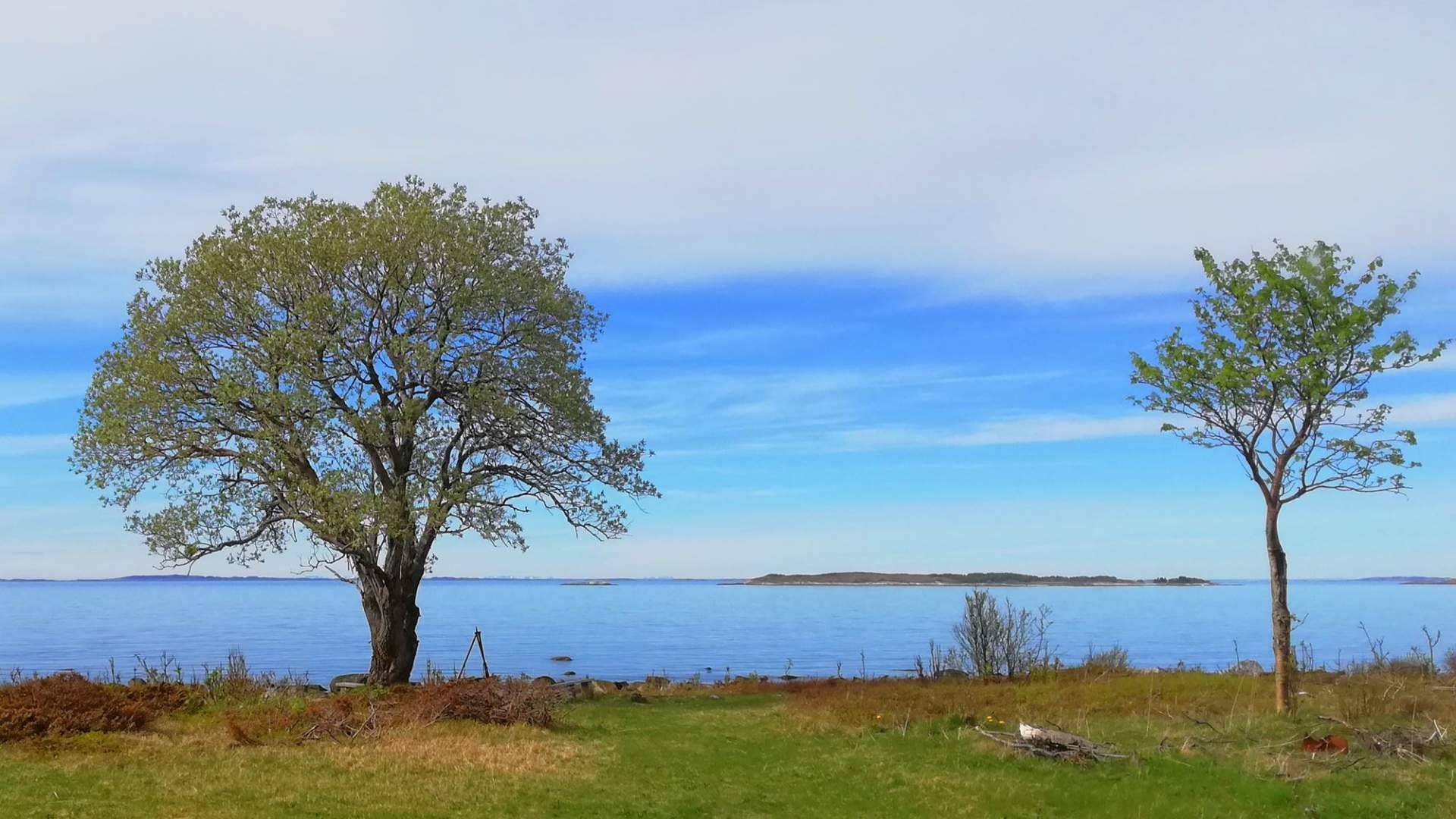 Følvika - a northern retreat