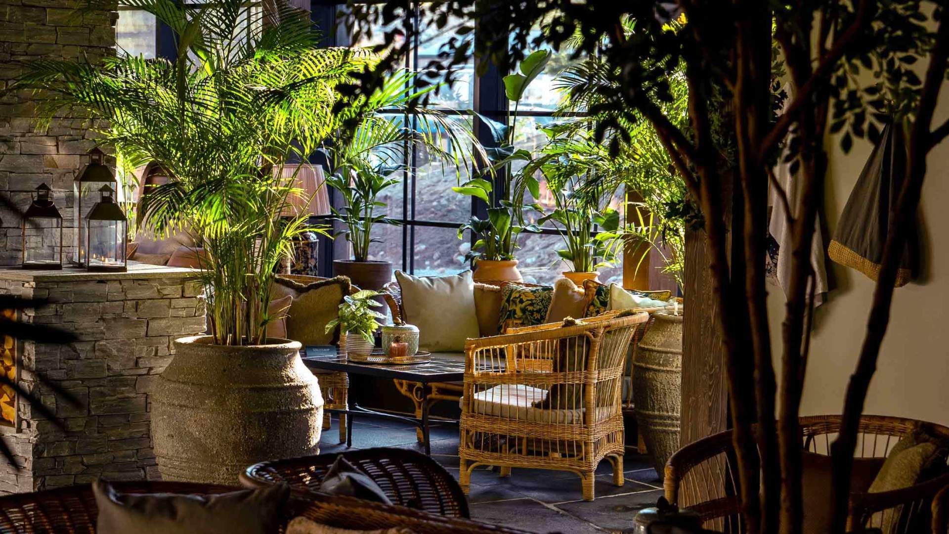 Pool club i Hemsedal med palmer