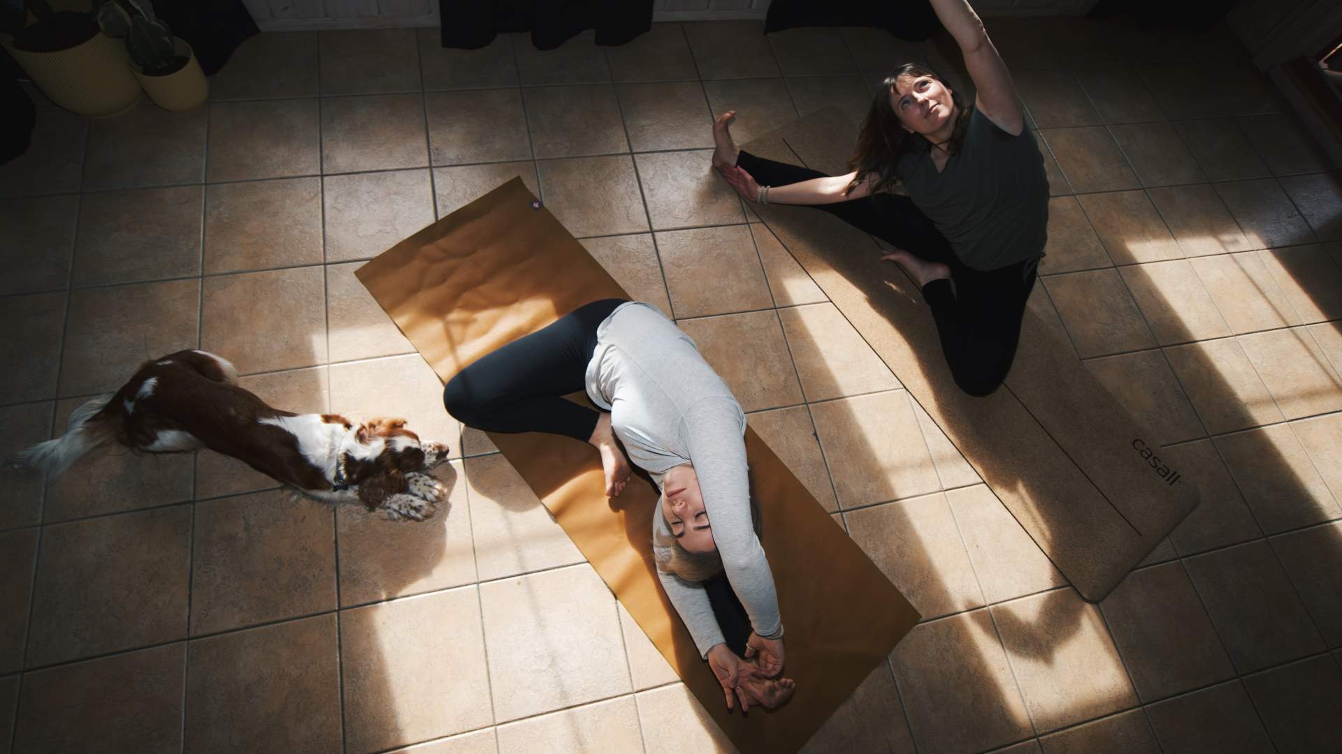 Hemsedalyoga med to damer og en hund 6
