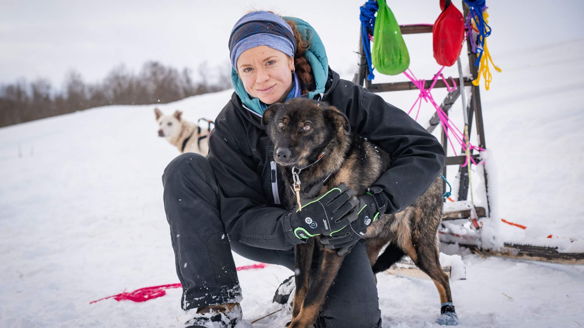 Dog Sledding Adventure at Camp Aspemo