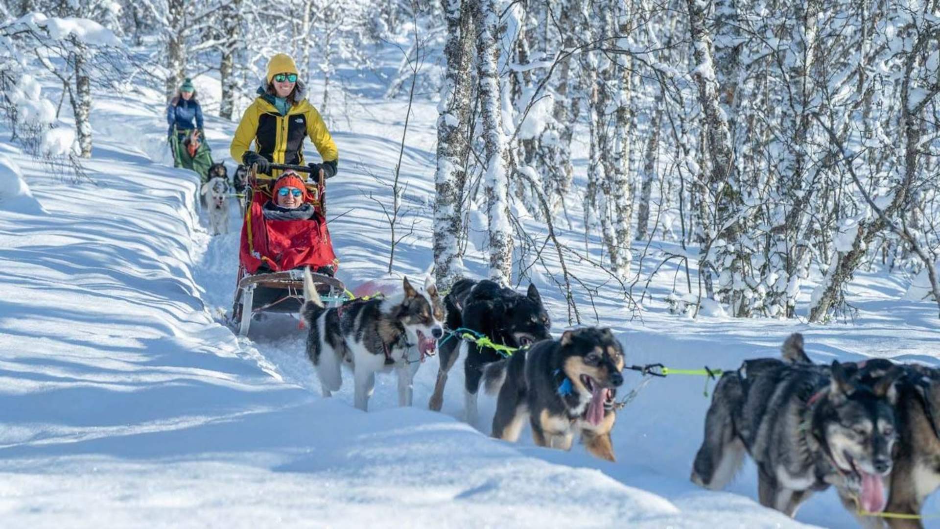 Ettermiddagstur med hundeslede