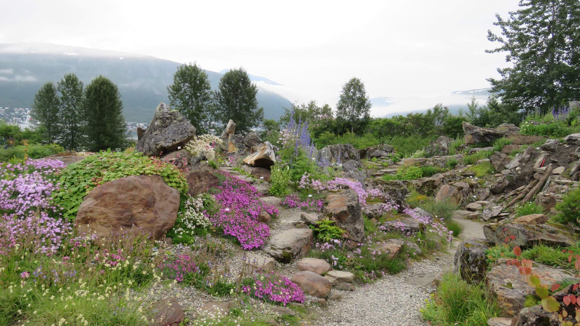 Small and beautiful &#8211; highlights of the world’s northernmost botanic garden