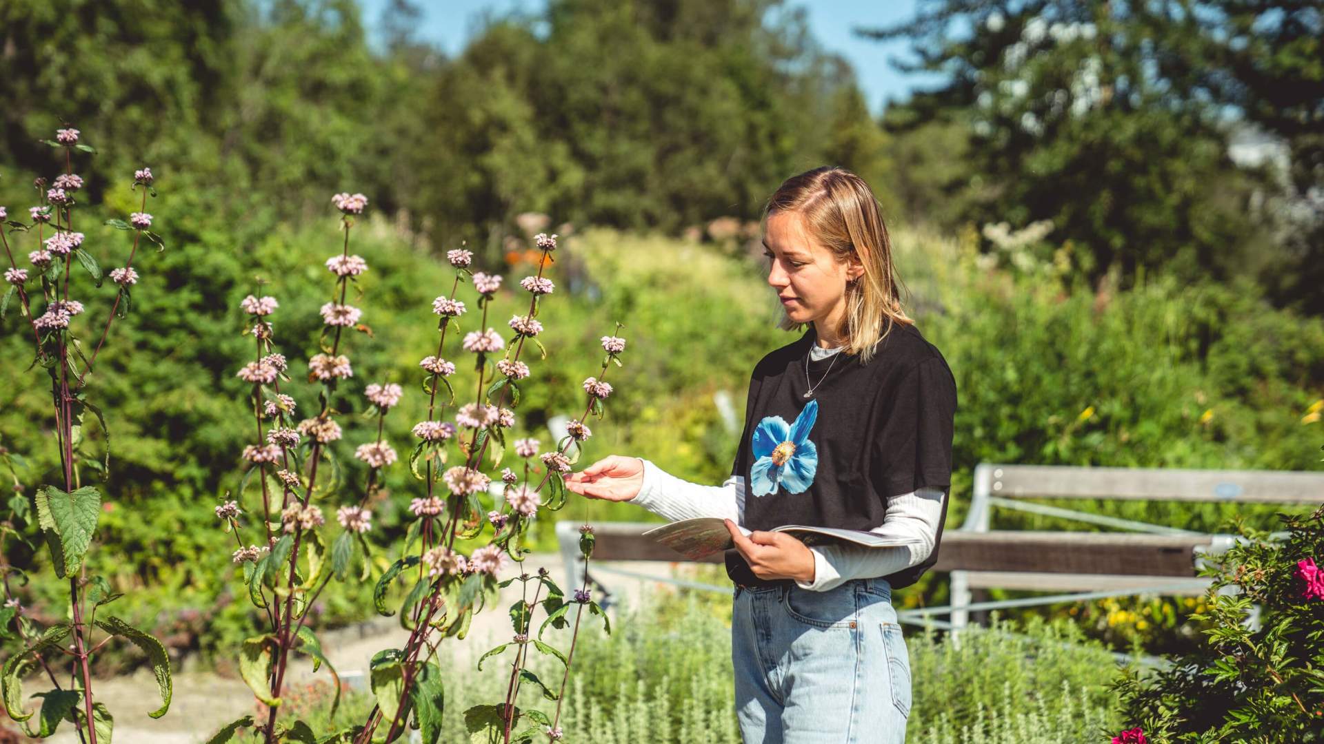 Small and beautiful &#8211; highlights of the world’s northernmost botanic garden