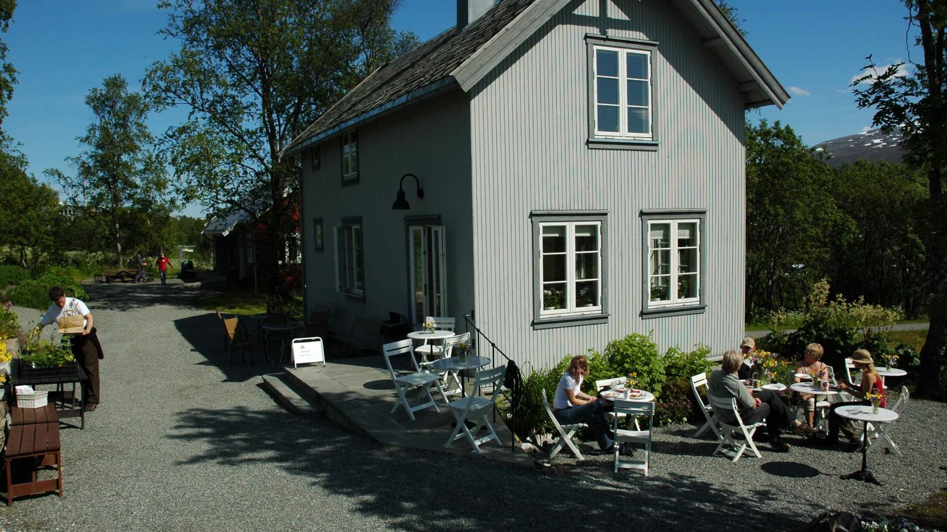 Small and beautiful &#8211; highlights of the world’s northernmost botanic garden