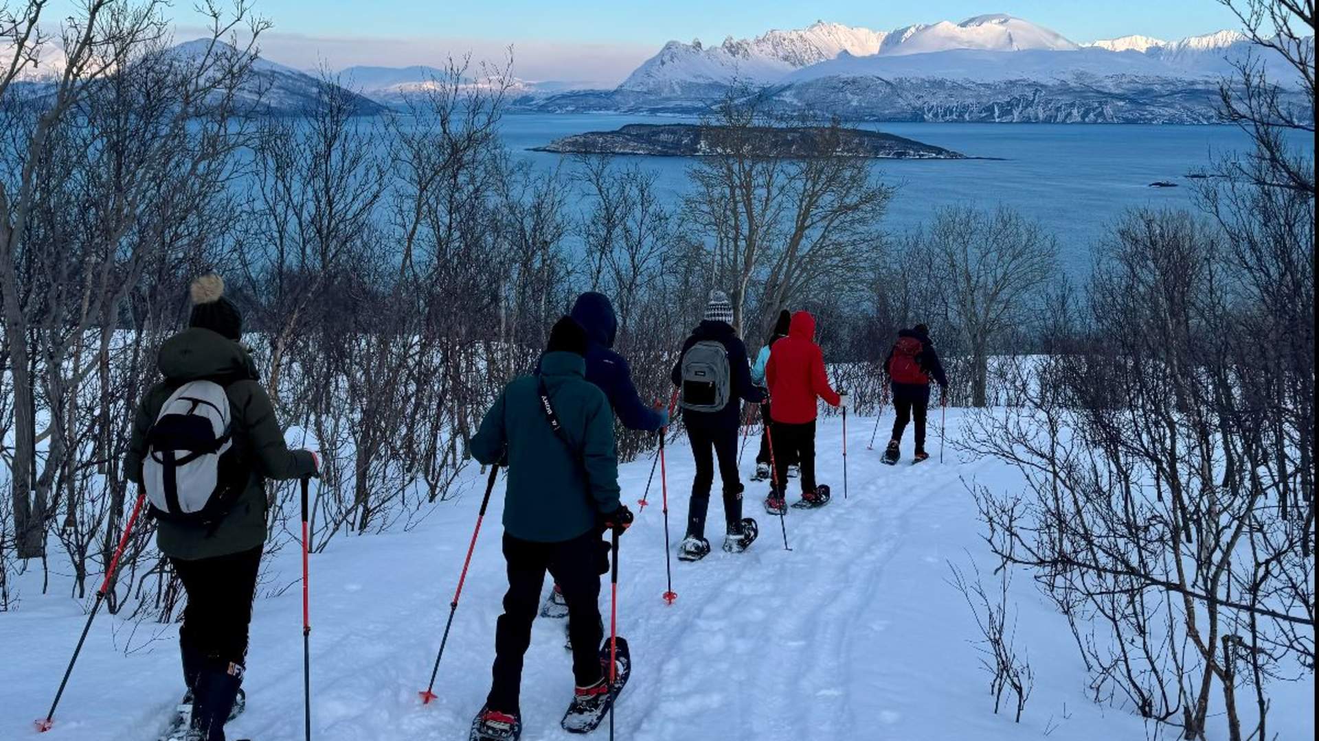 Aurora Snowshoe walk - Explore 70 Degrees