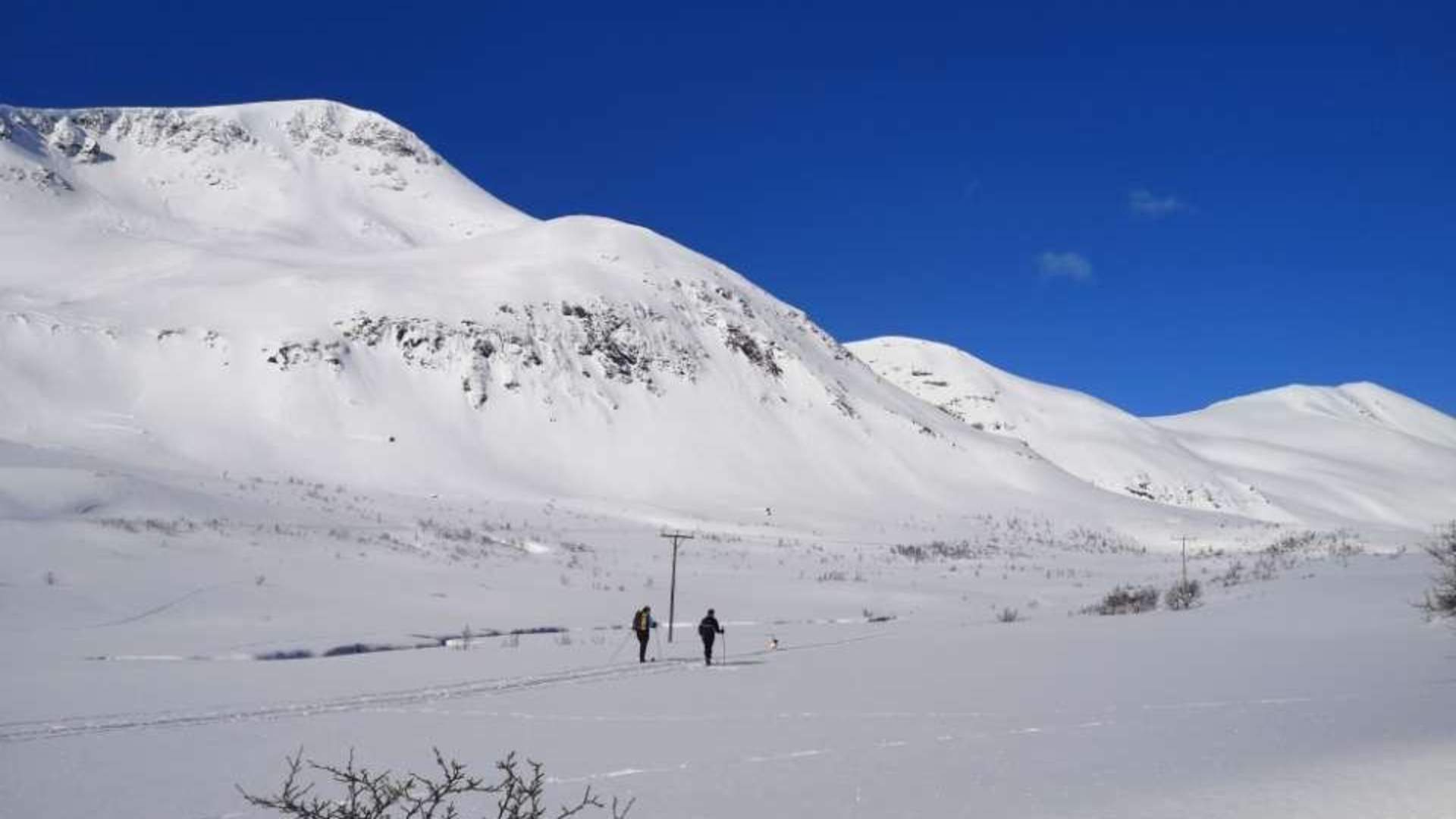 Aurora Snowshoe walk - Explore 70 Degrees