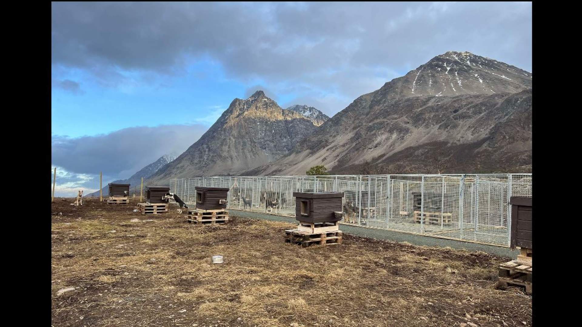 Visit our dogs and have some fun outside - Lyngen Safari