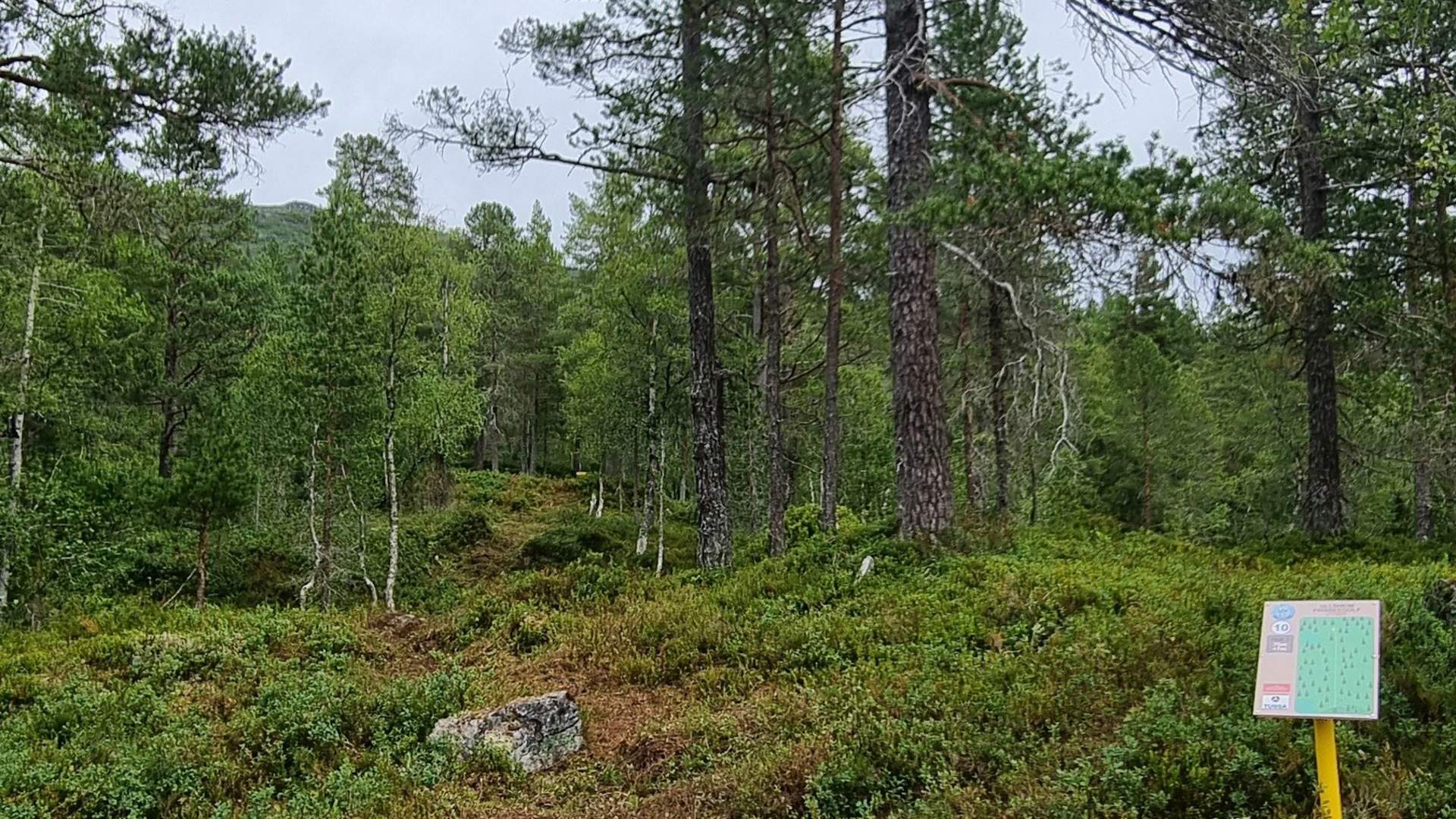 Ullsheim Frisbeegolf Stryn