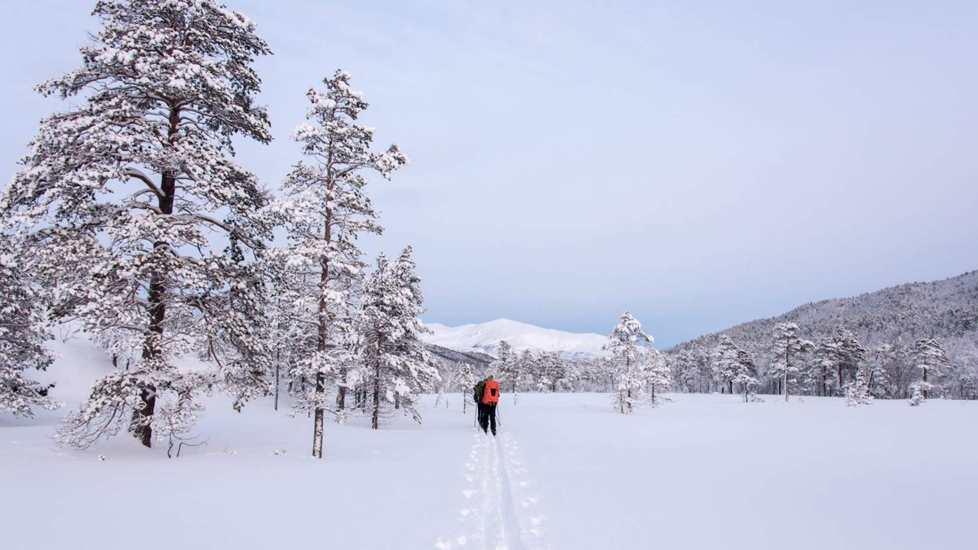 Skitur i Ånderdalen