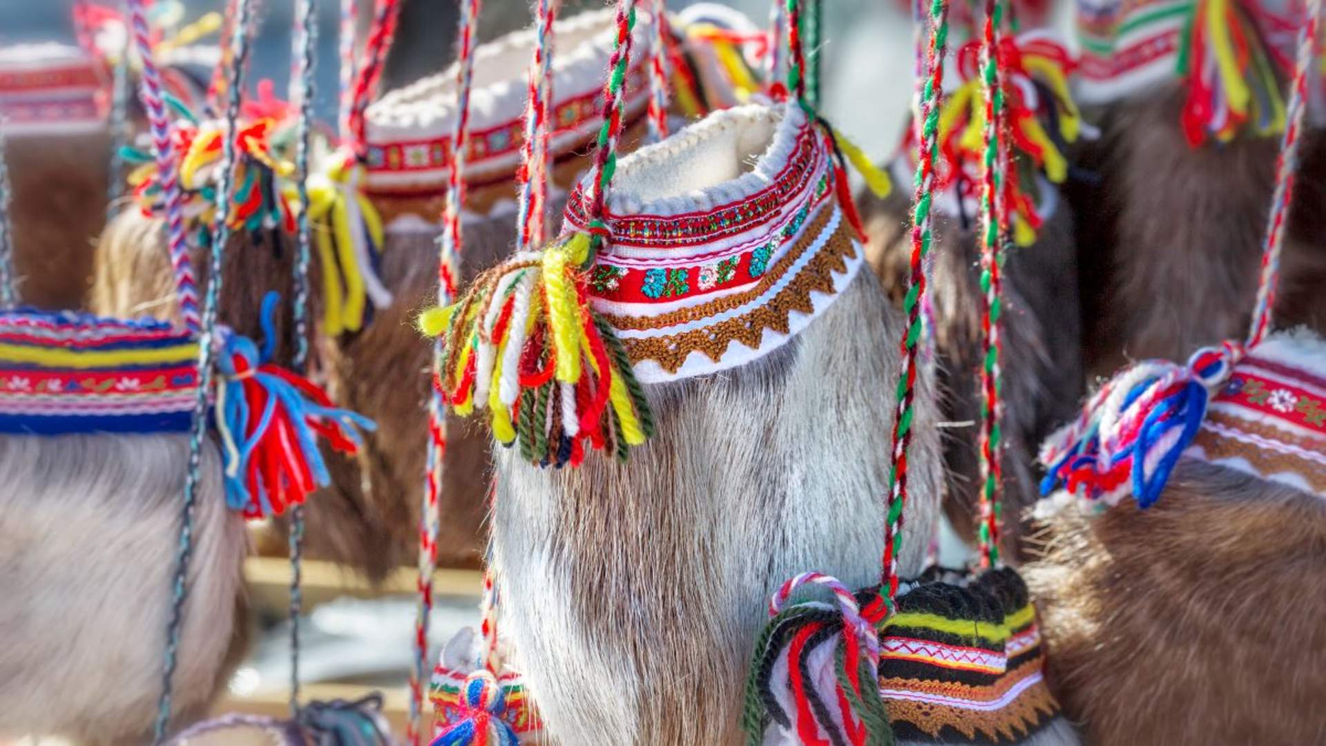 Privat samisk opplevelse med mulighet for nordlys