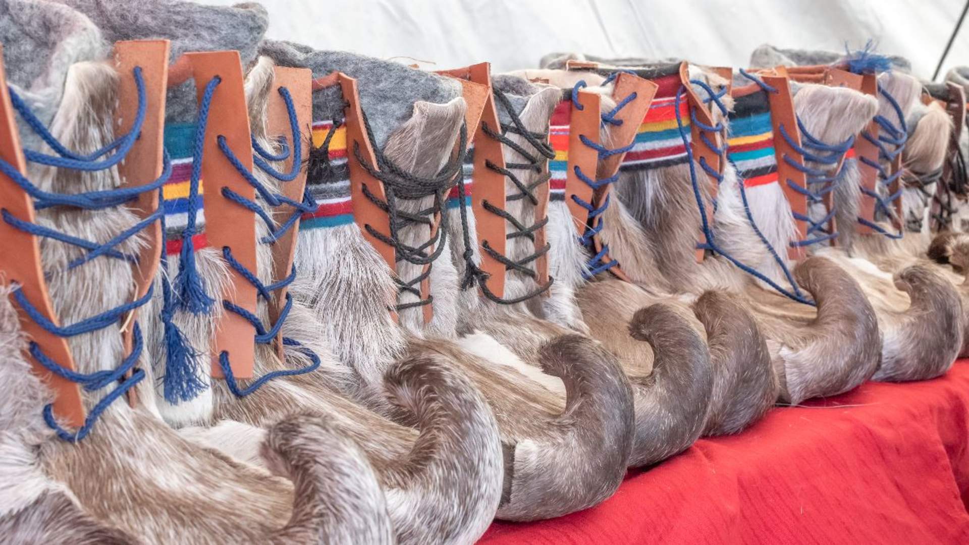 Privat samisk opplevelse med mulighet for nordlys