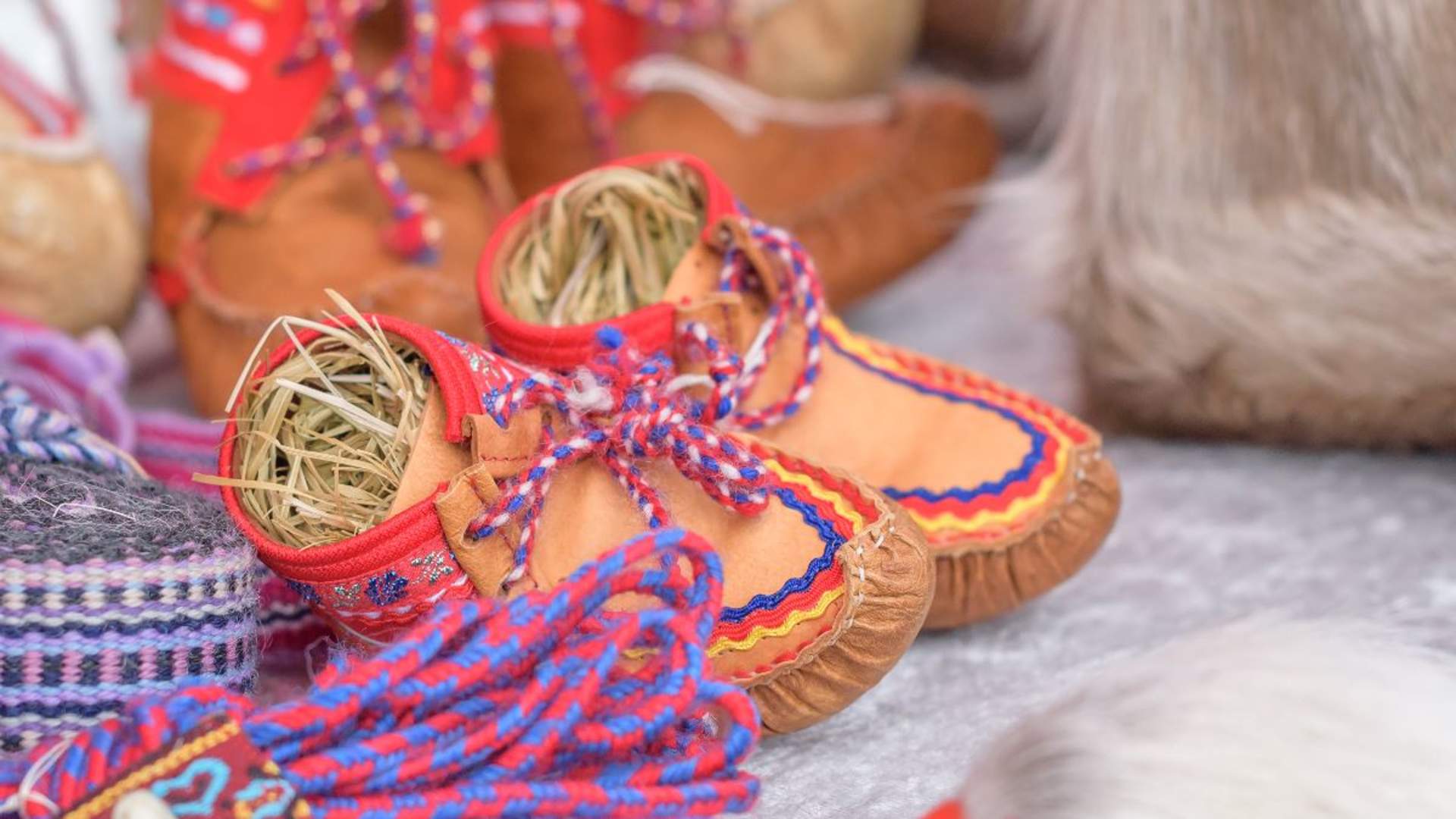 Privat samisk opplevelse med mulighet for nordlys