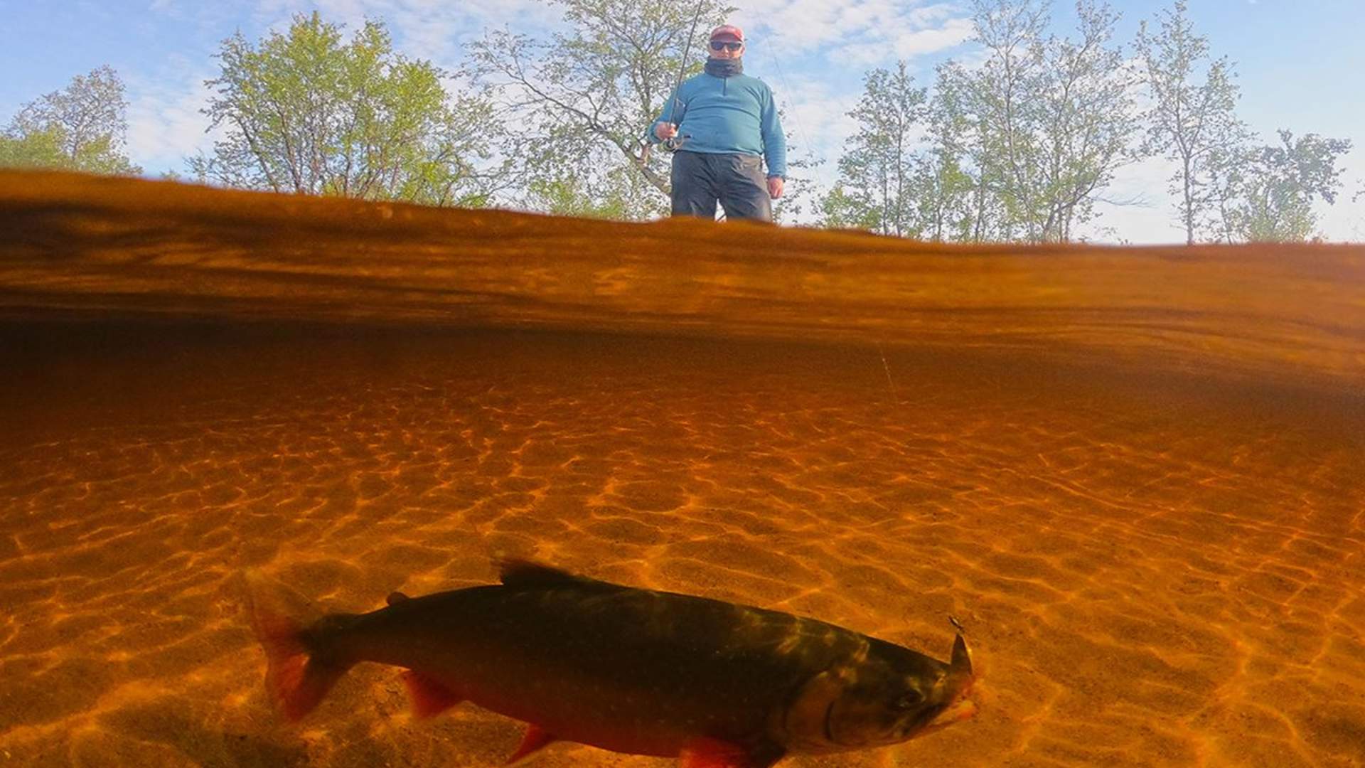 Ferskvannsfiske - privat tur