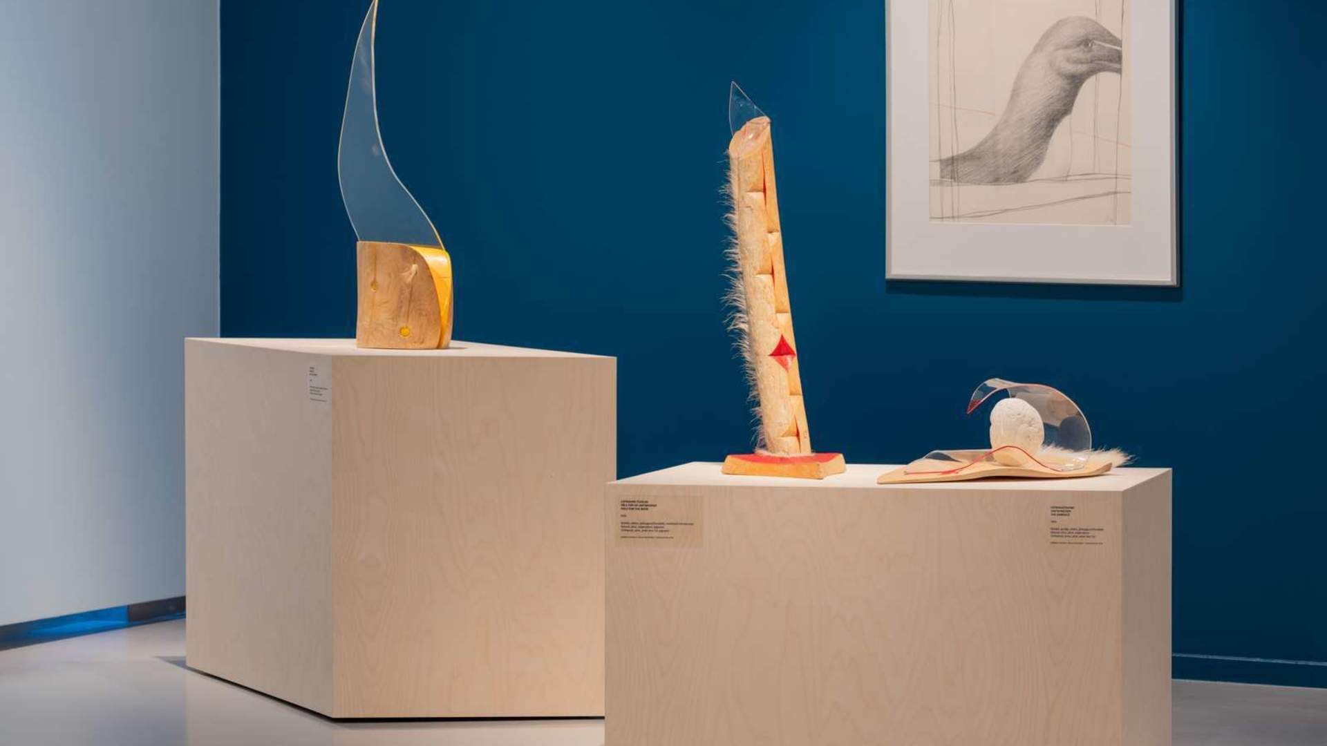 Nordnorsk Kunstmuseum