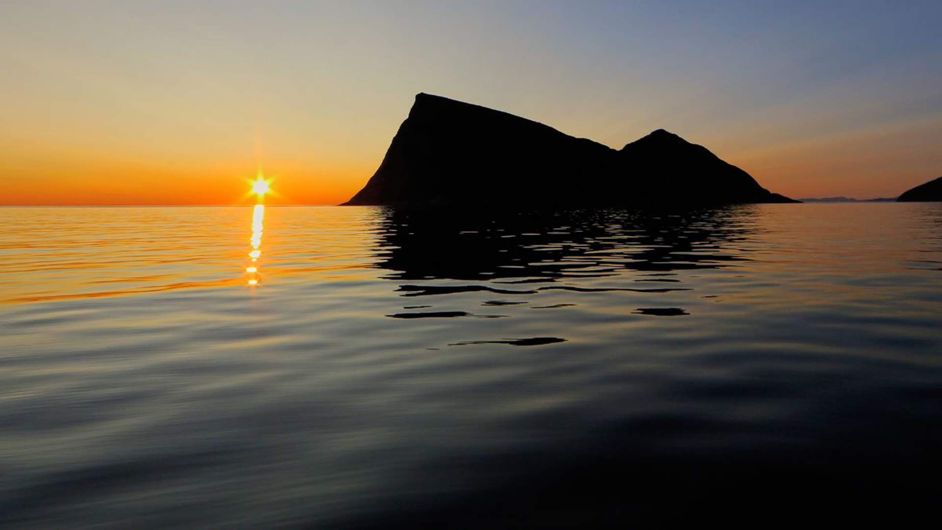 Wildlife Fjord Cruise &#8211; private trip