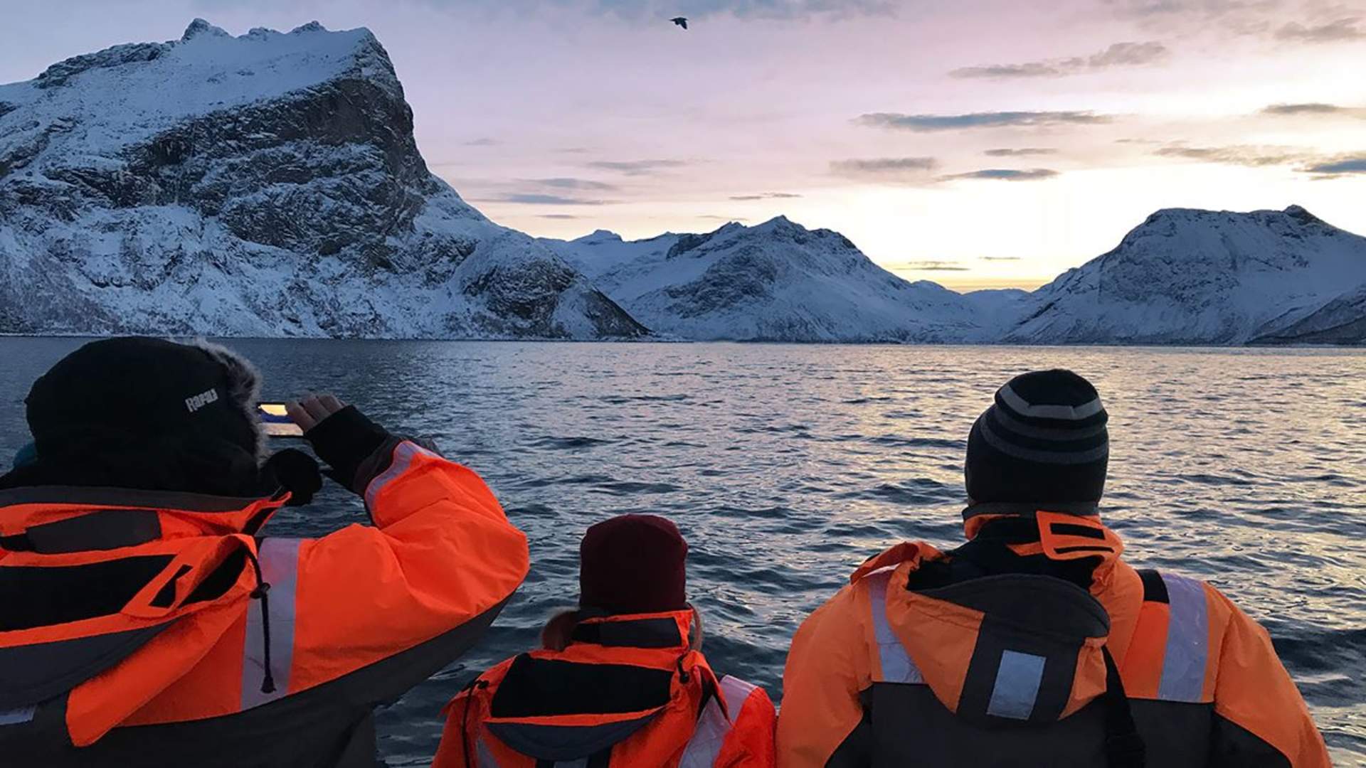 Wildlife Fjord Cruise &#8211; private trip
