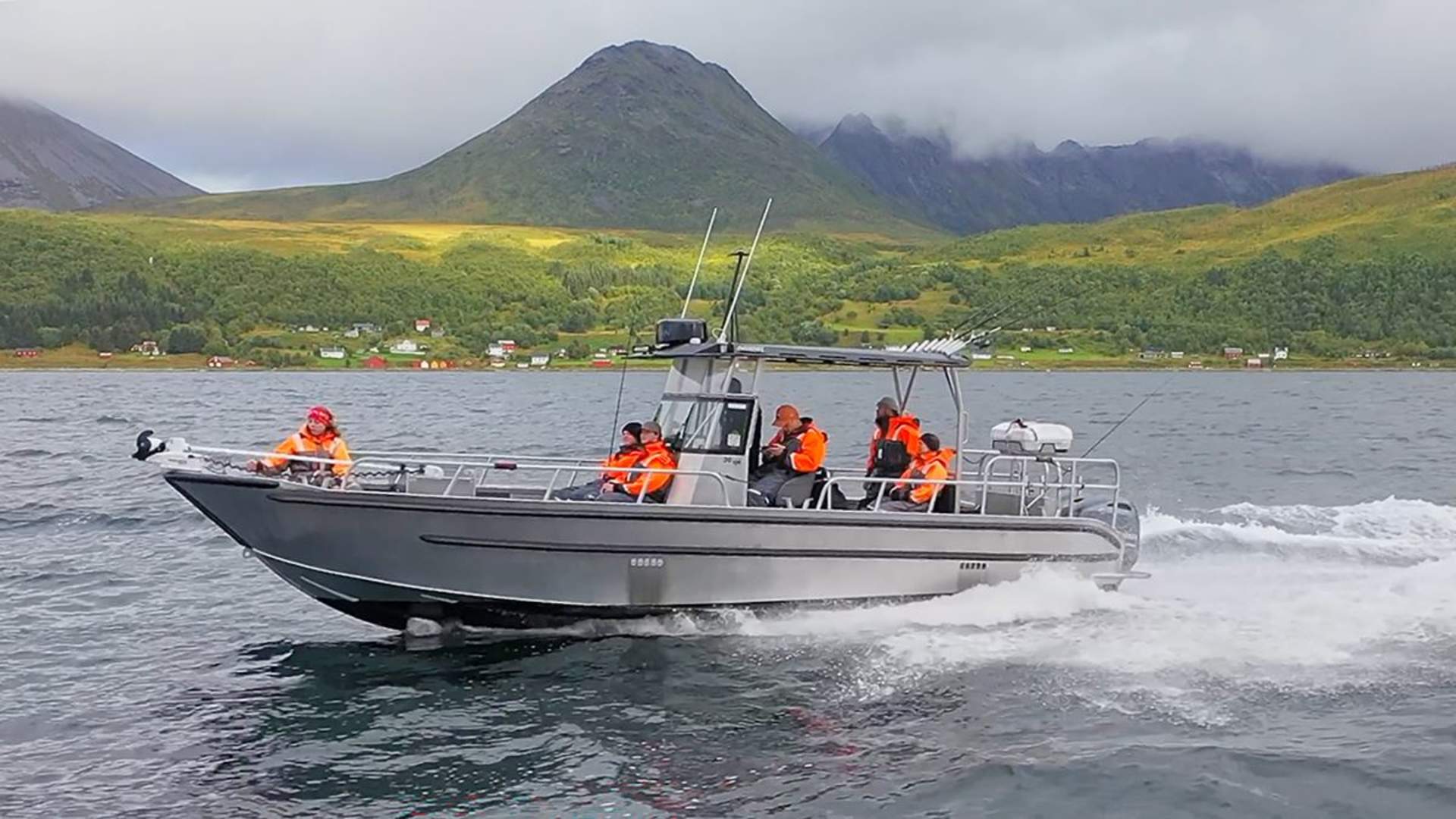 Wildlife Fjord Cruise &#8211; private trip
