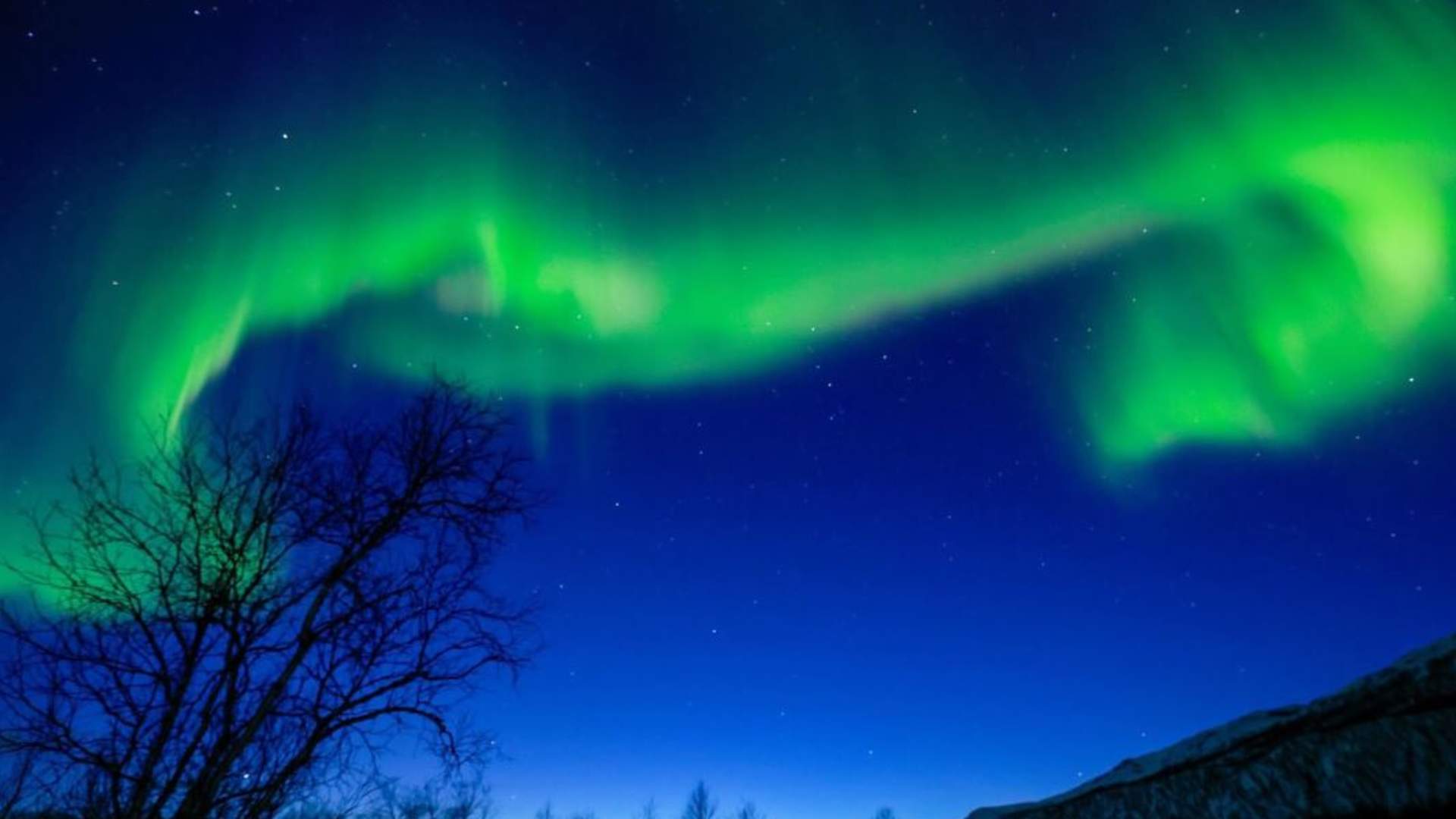 Tromsø Chinese Northern Lights Tour
