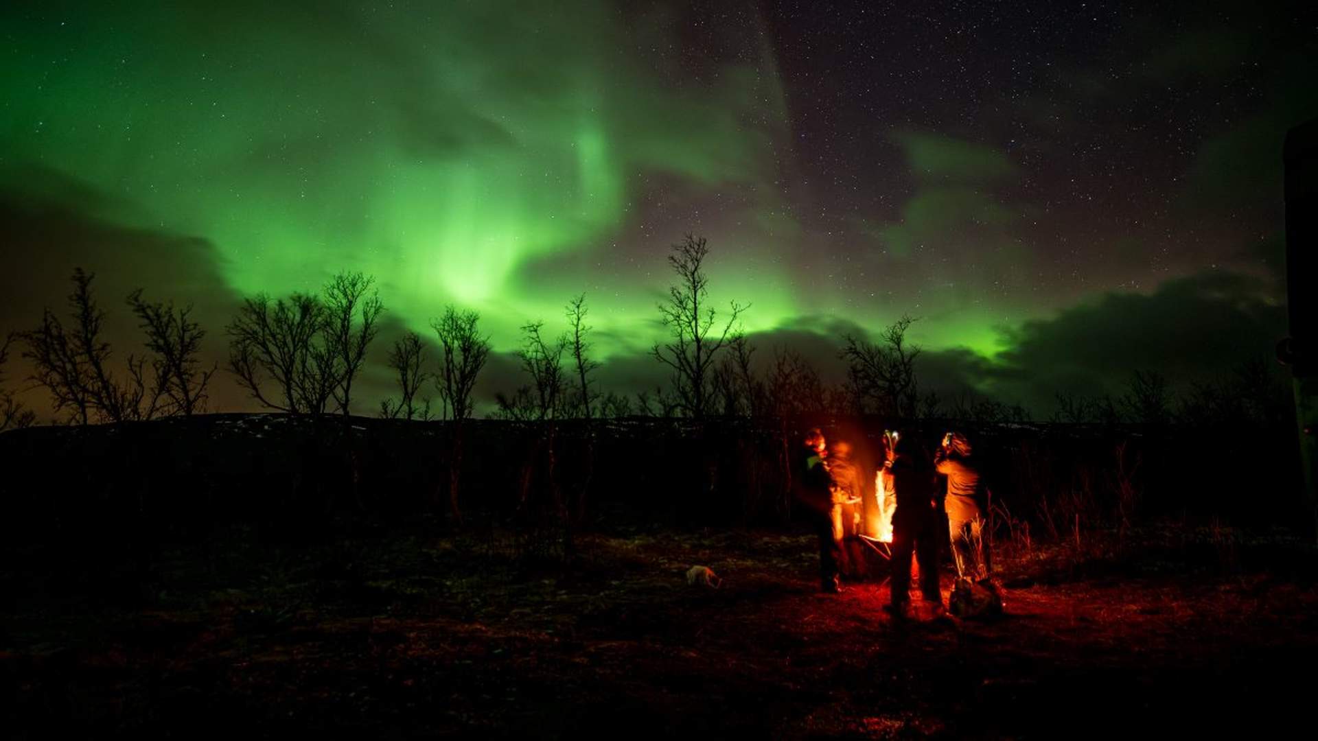 Northern Lights Hunt