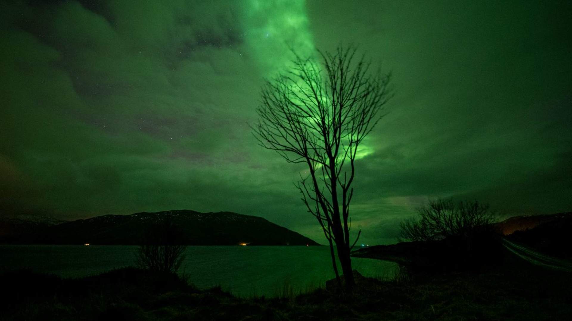 Northern Lights Hunt
