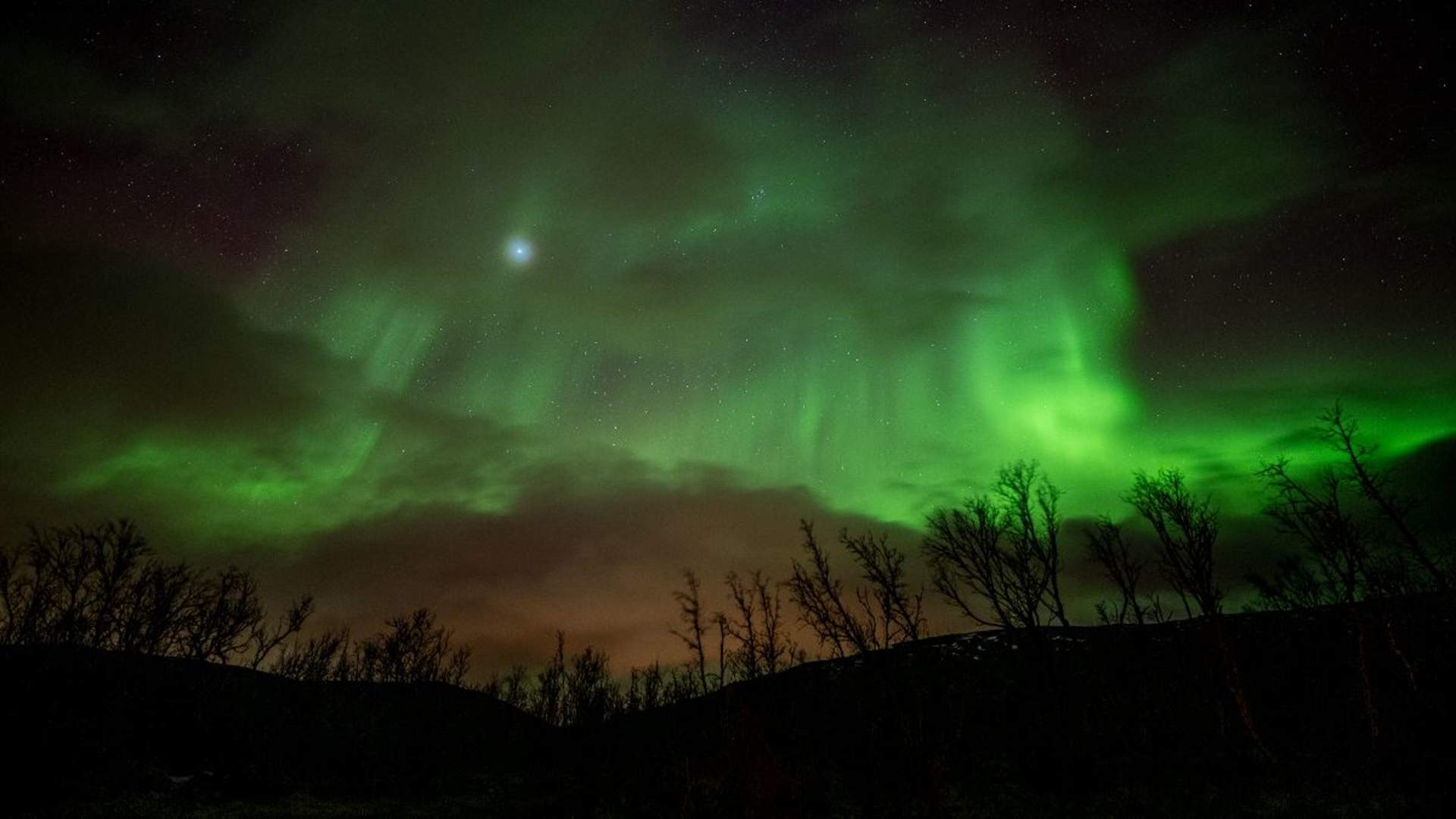 Northern Lights Hunt