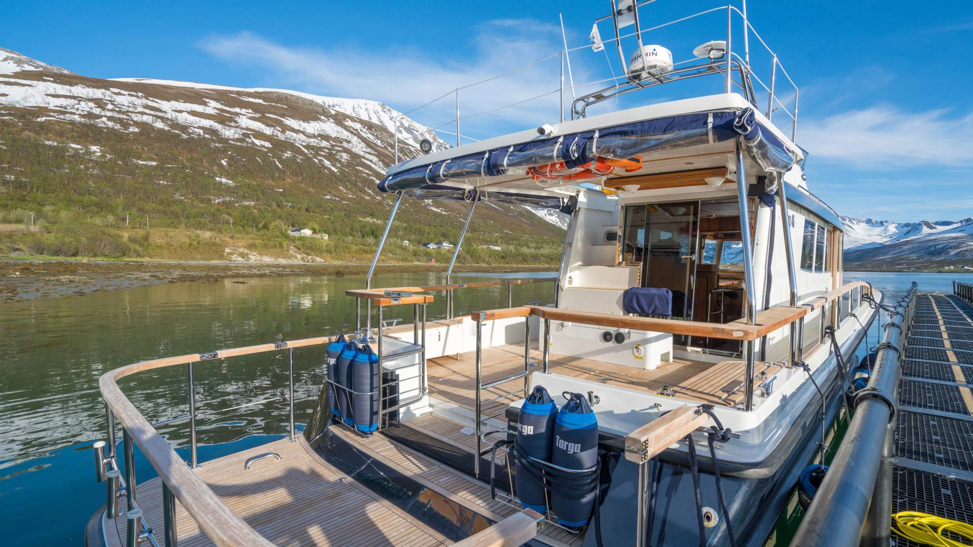 Whalesafari - Lyngen Experience