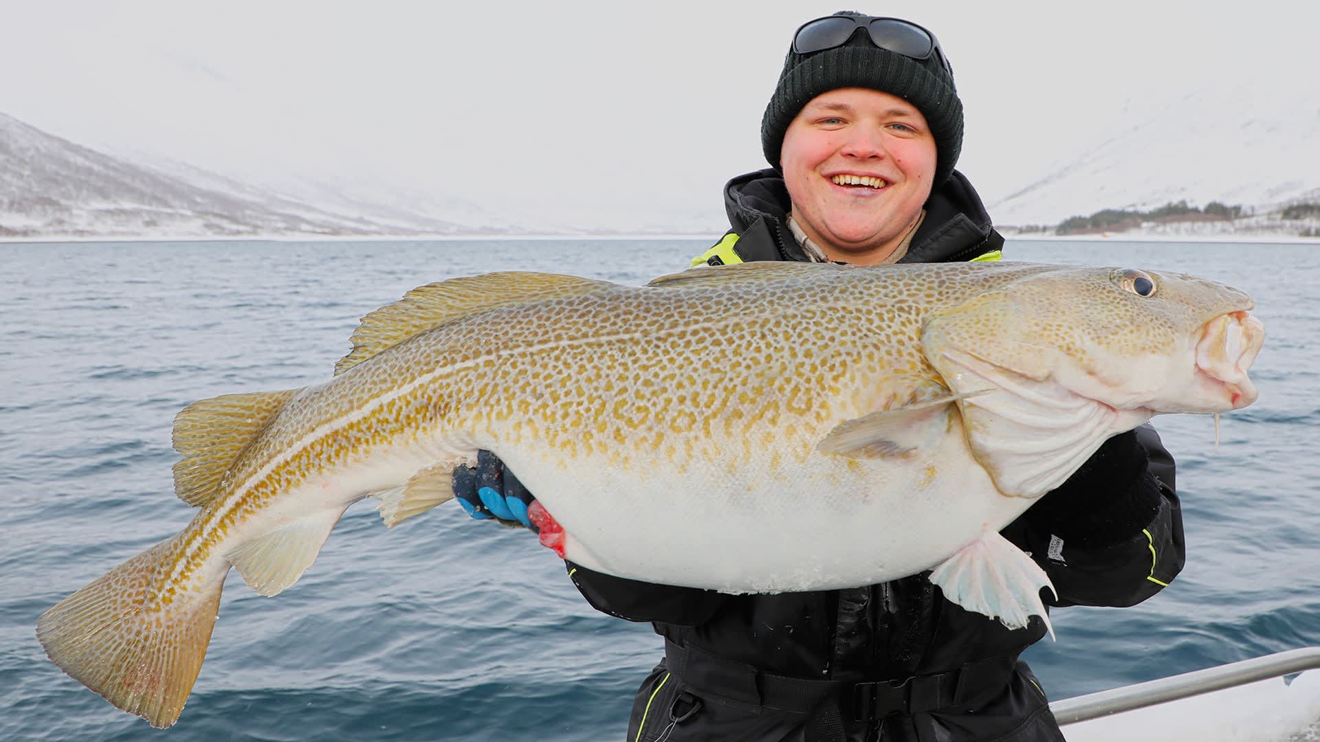 Aktivitetspakker vinter