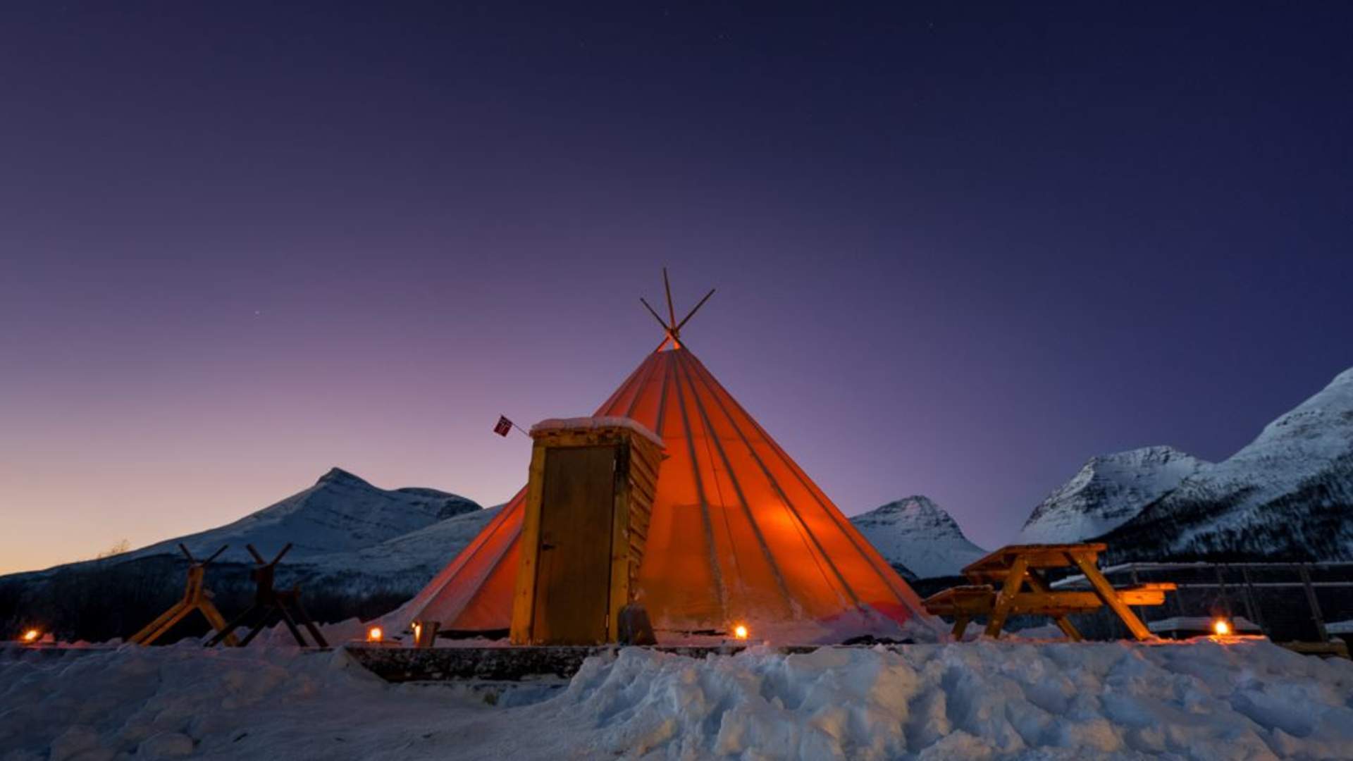 Hundesledeopplevelse ettermiddag - Ekskludert Transport
