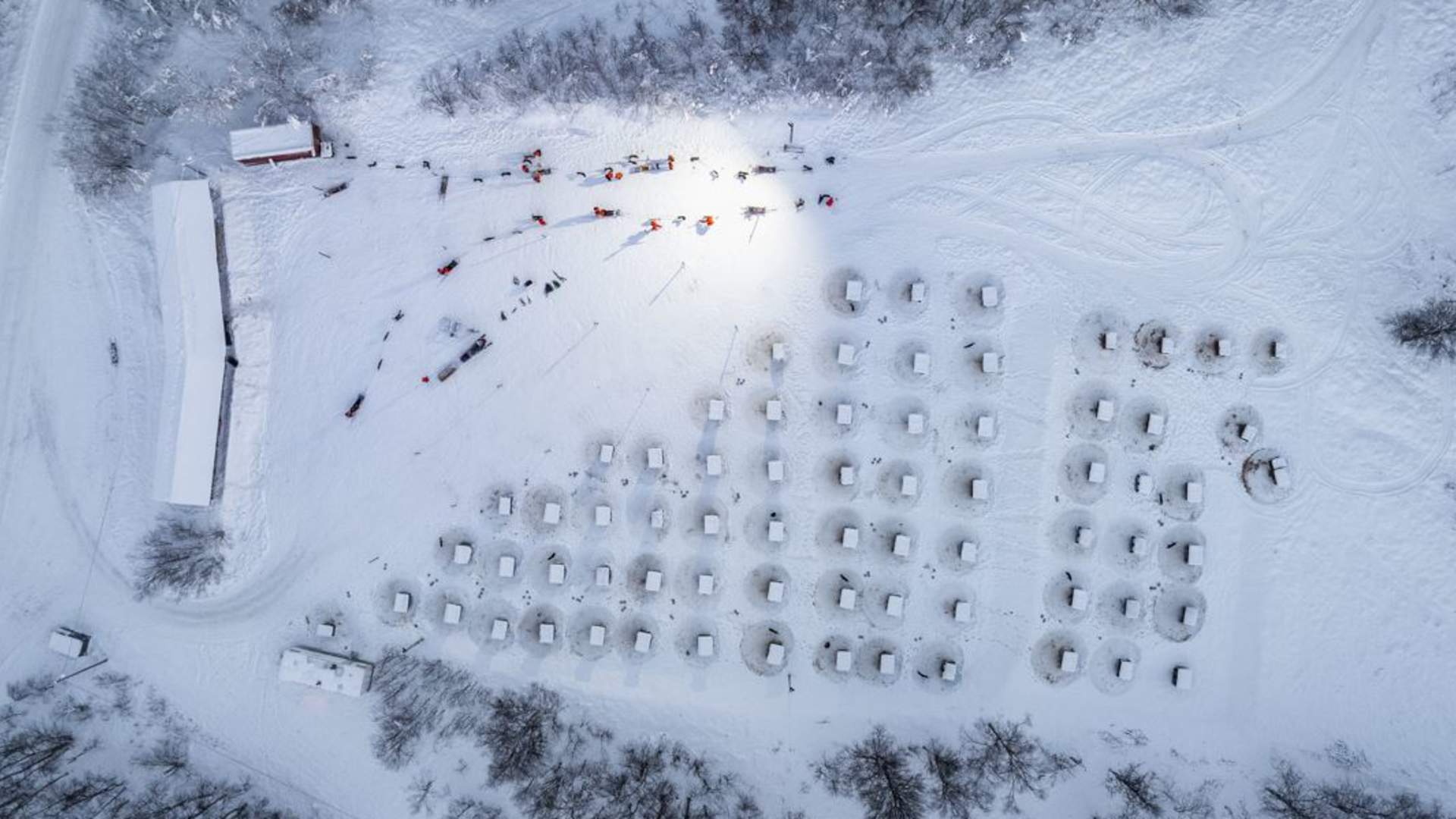 Hundesledeopplevelse ettermiddag - Inkludert Transport