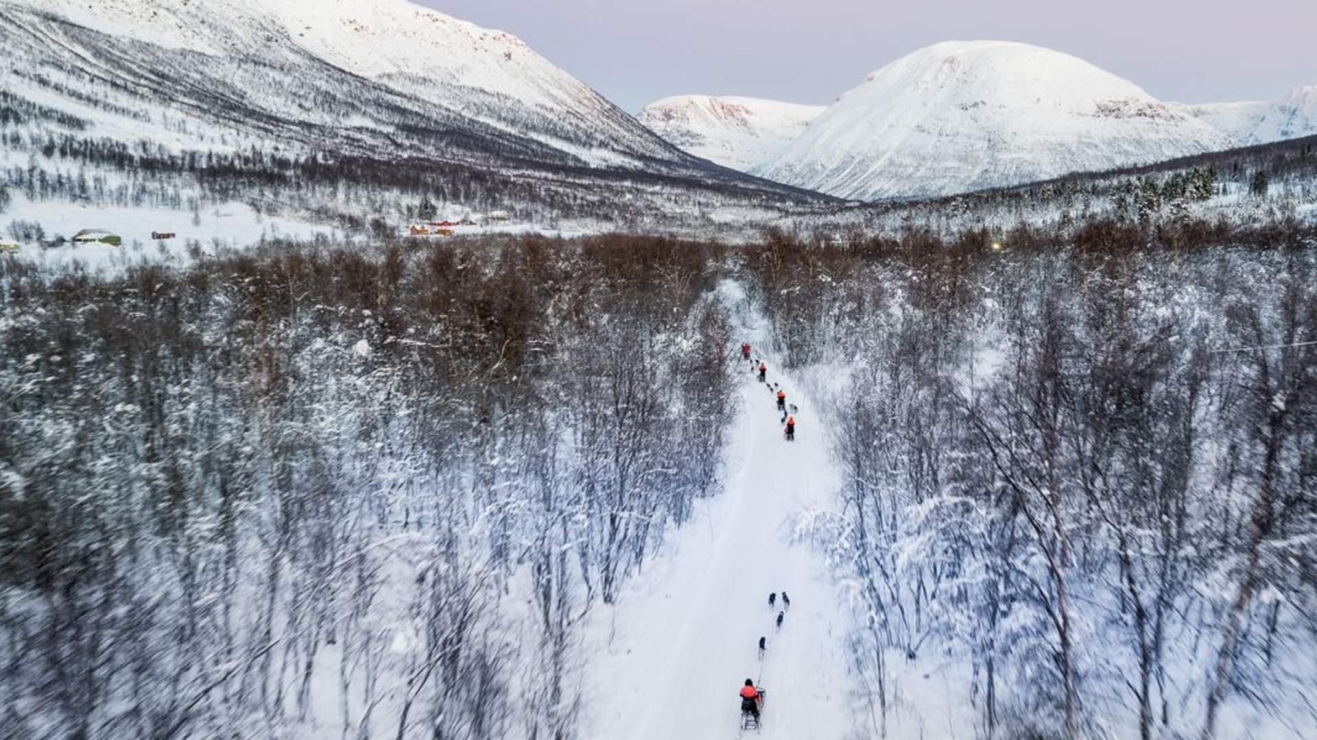 Hundesledeopplevelse ettermiddag - Inkludert Transport