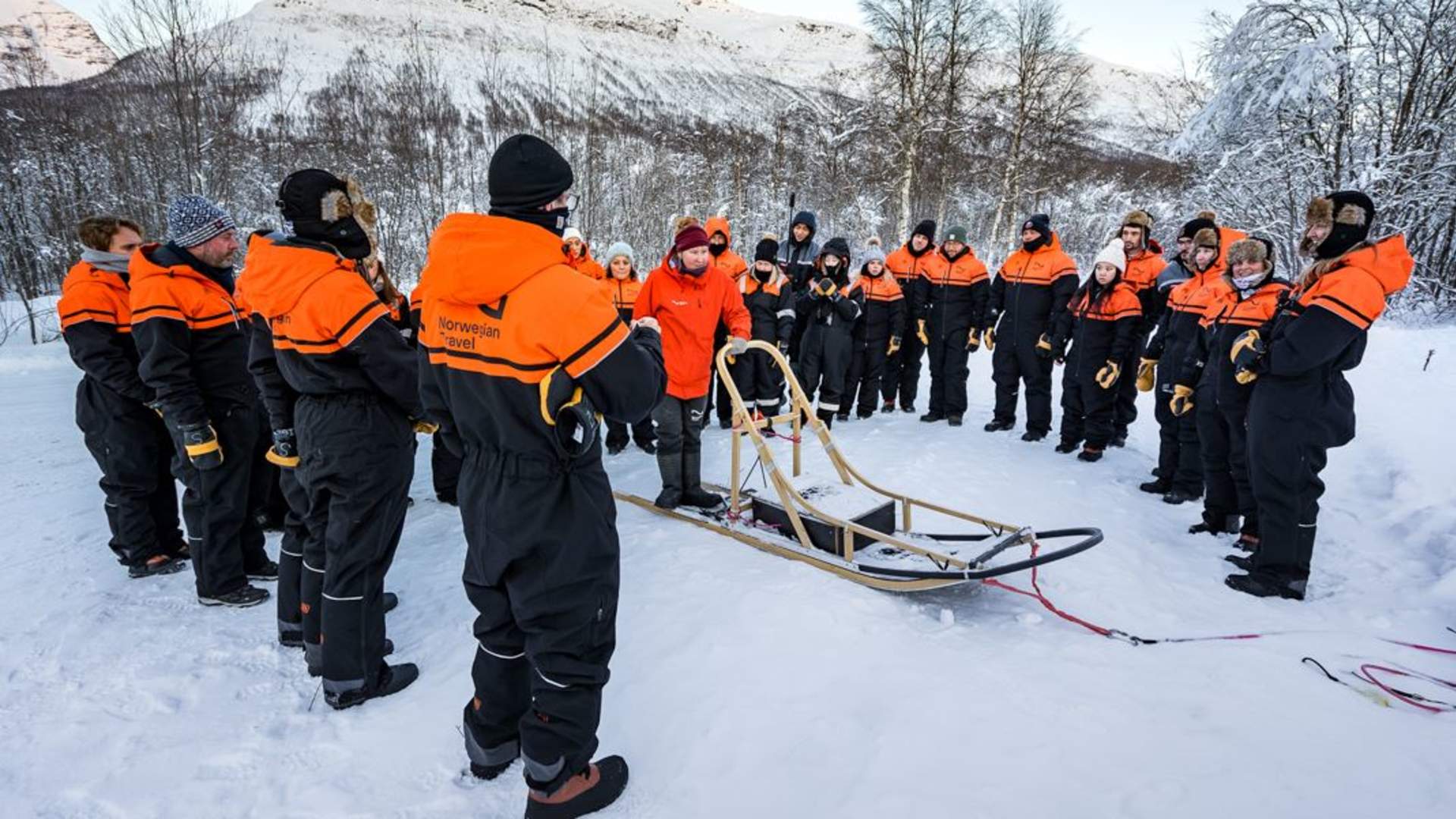 Hundesledeopplevelse ettermiddag - Ekskludert Transport