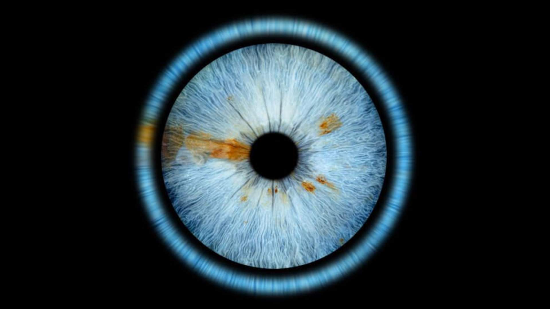 Iris Galerie Nordics