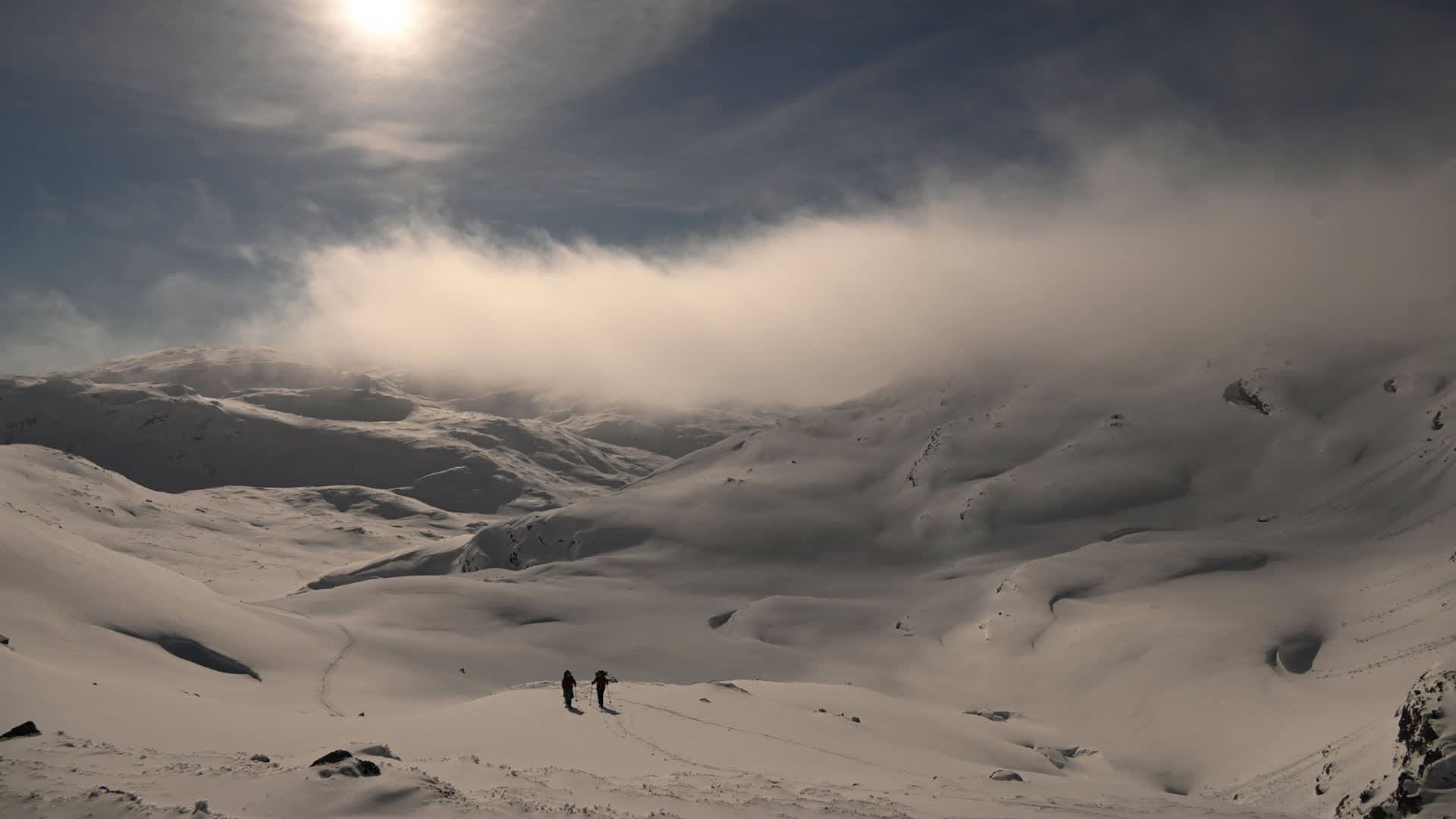 Rookie friday, skitouring with Wild Voss