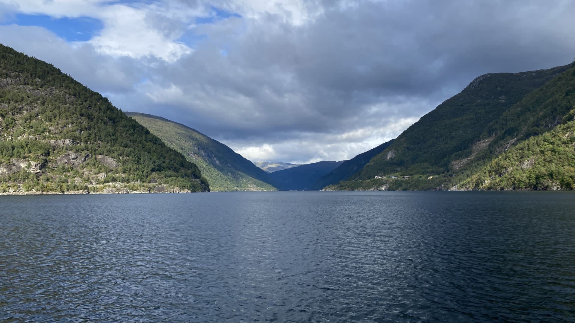 Privat RIB safari Granvin, Hardangerfjord Adventure