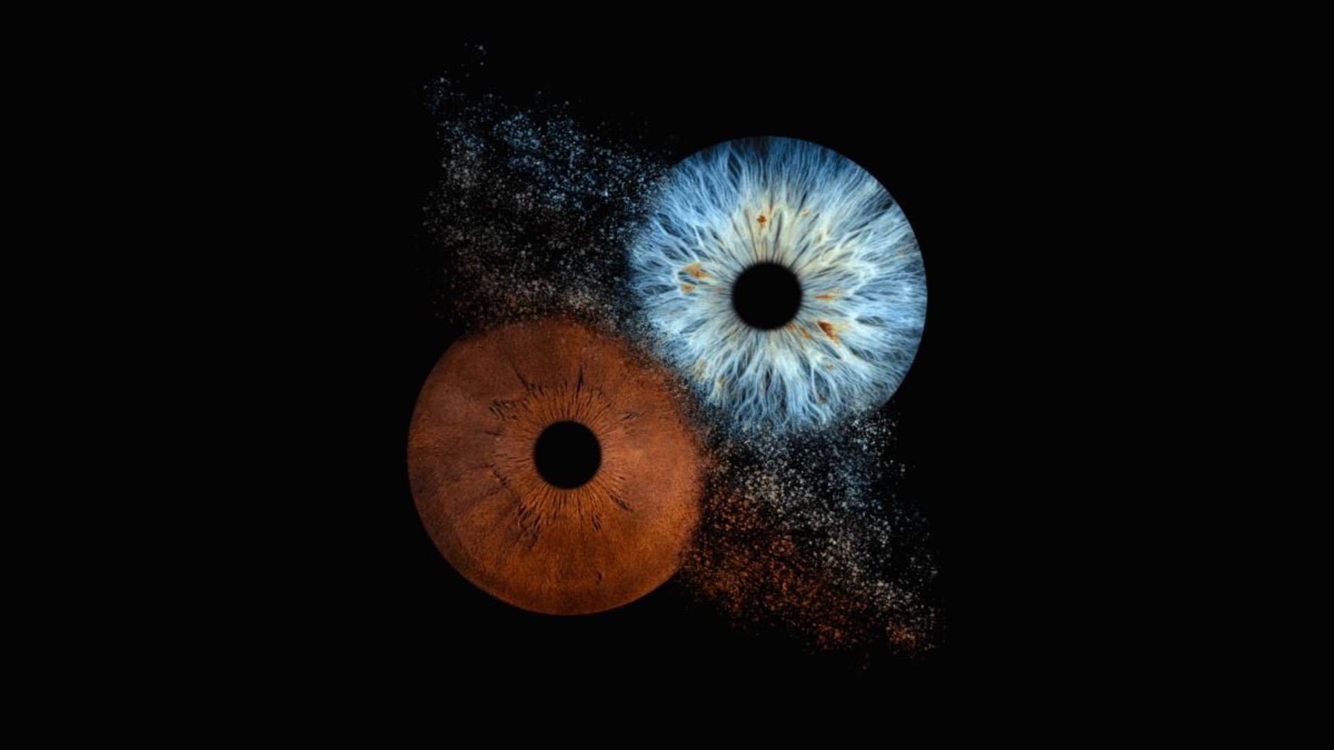 Iris Galerie Nordics
