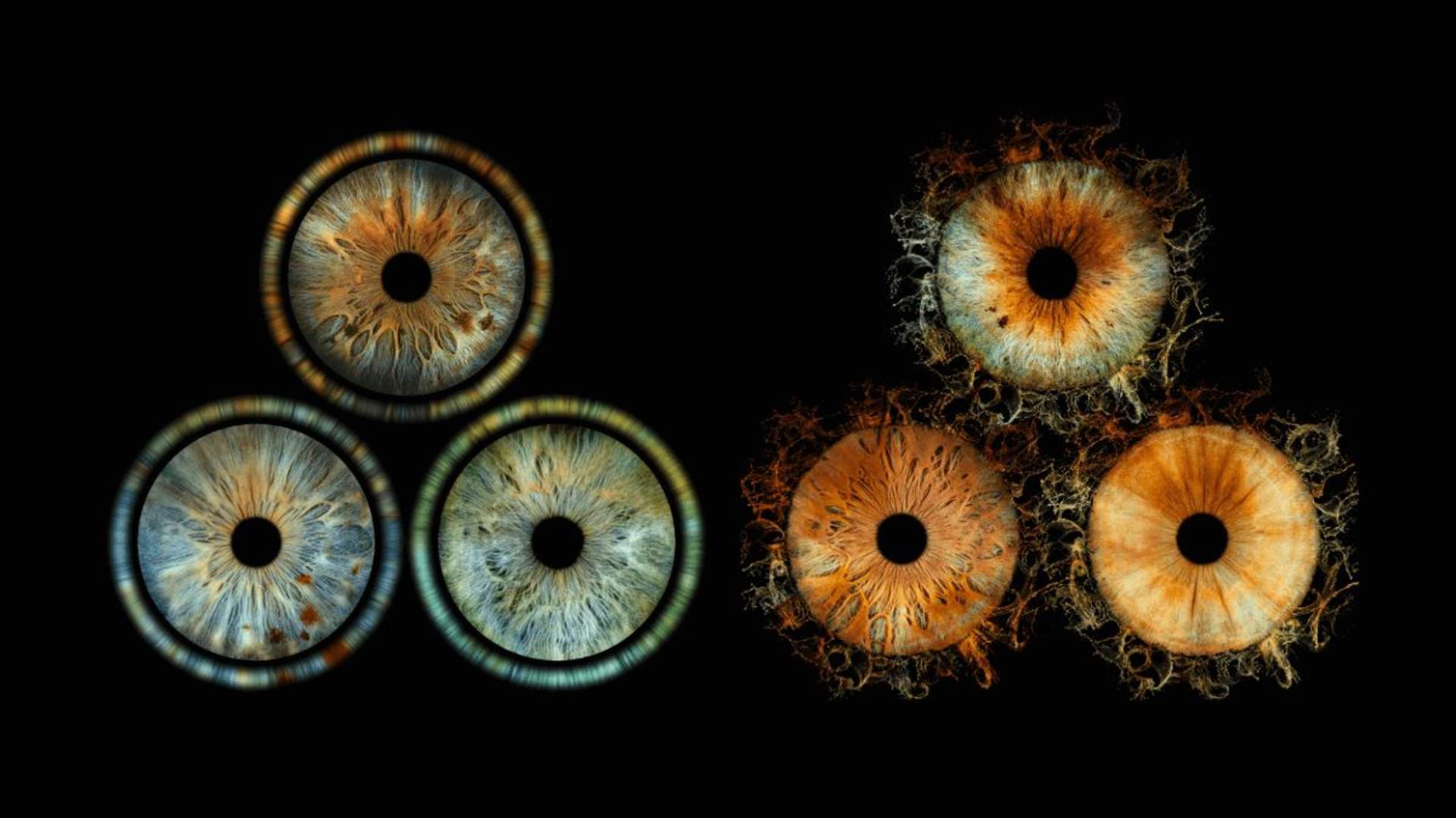 Iris Galerie Nordics