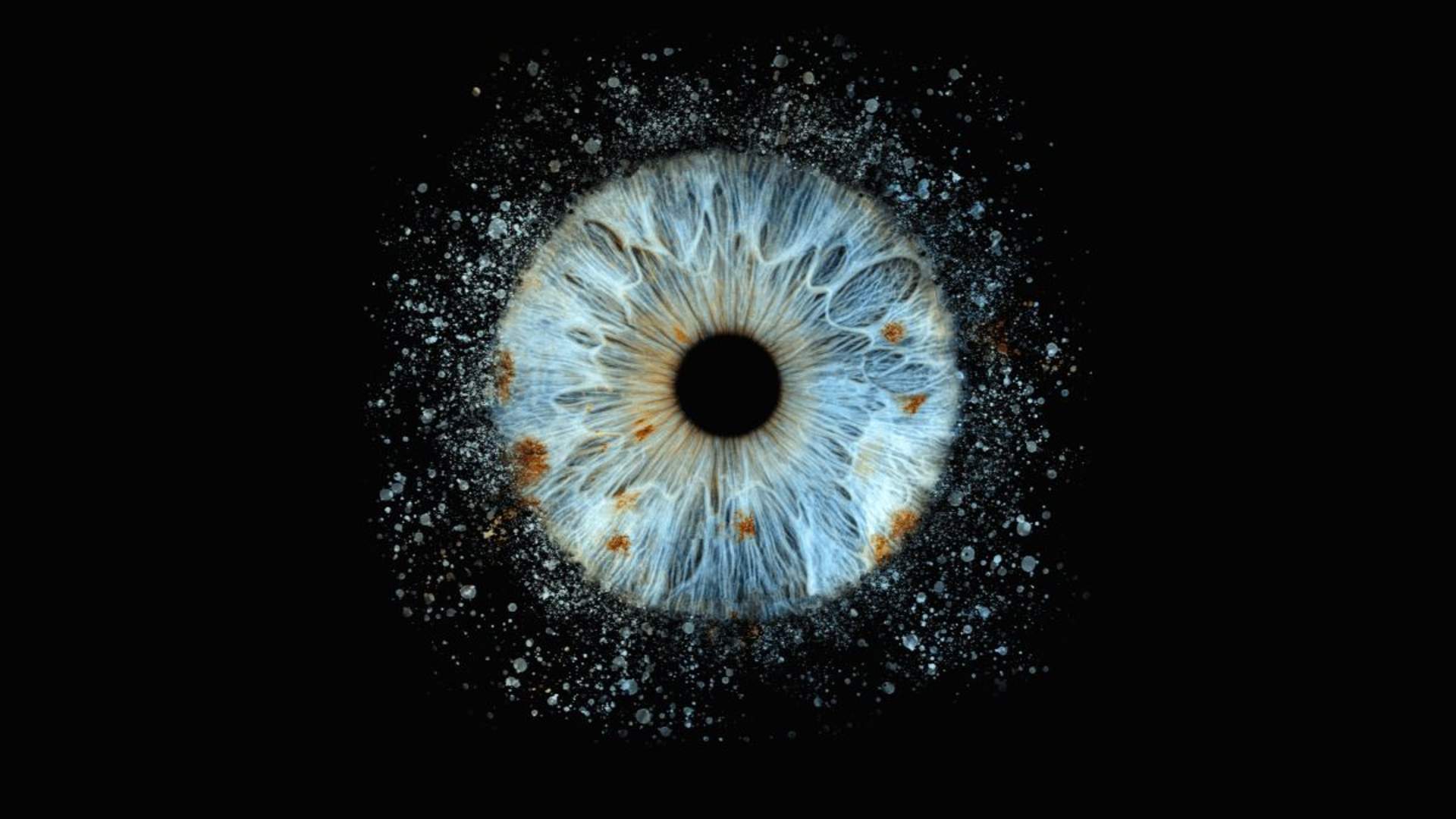 Iris Galerie Nordics