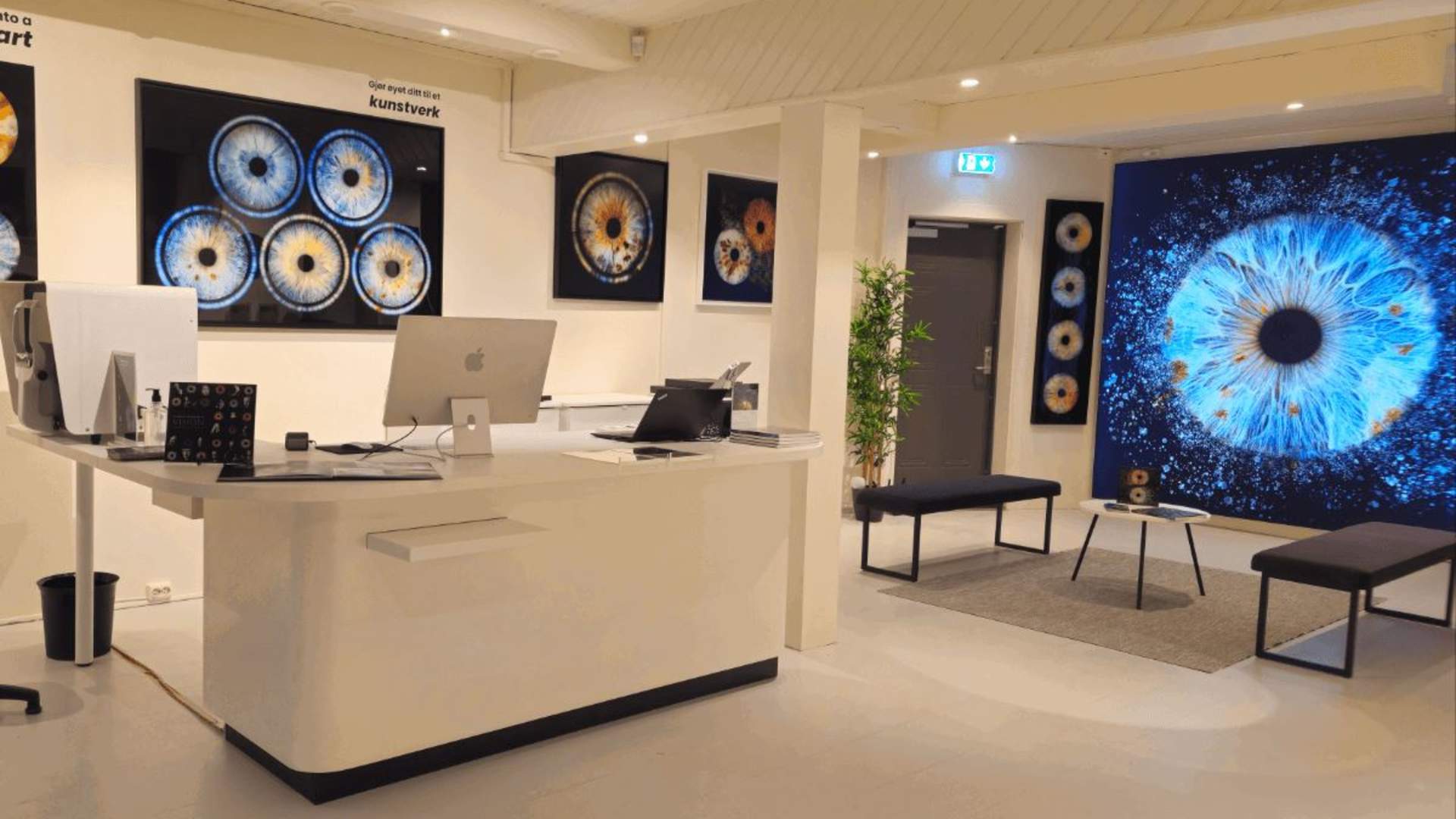 Iris Galerie Nordics