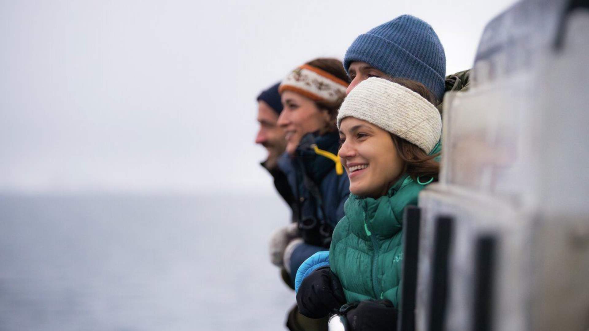 Whale & Arctic Wildlife Safari