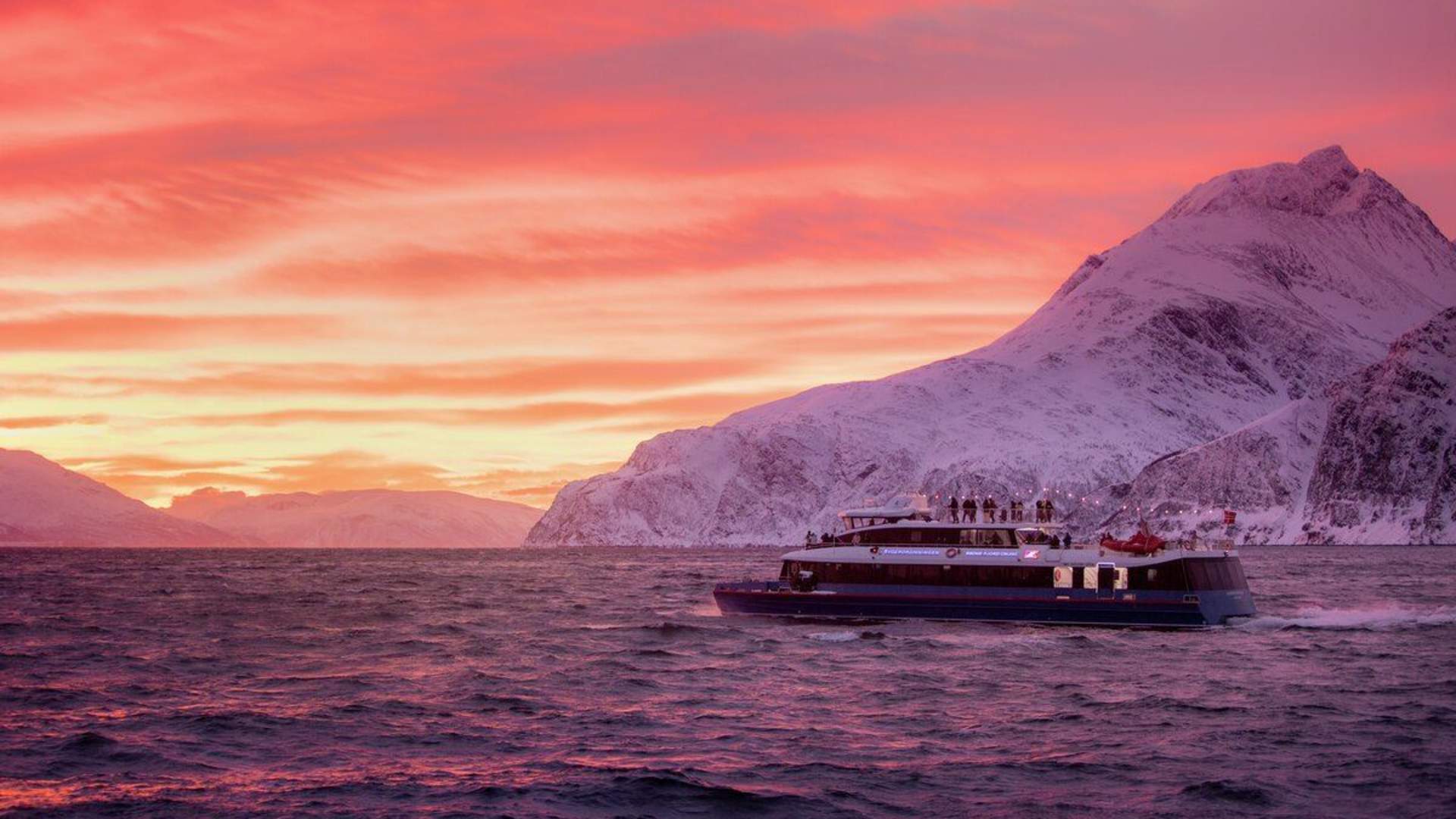 Whale & Arctic Wildlife Safari