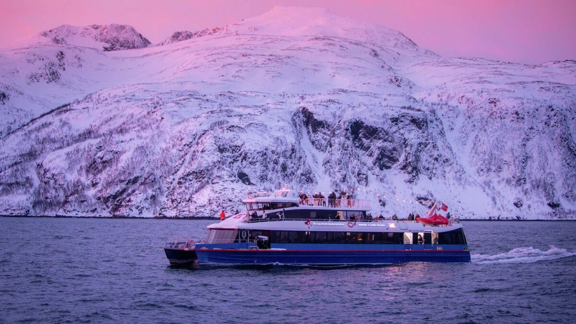 Whale & Arctic Wildlife Safari