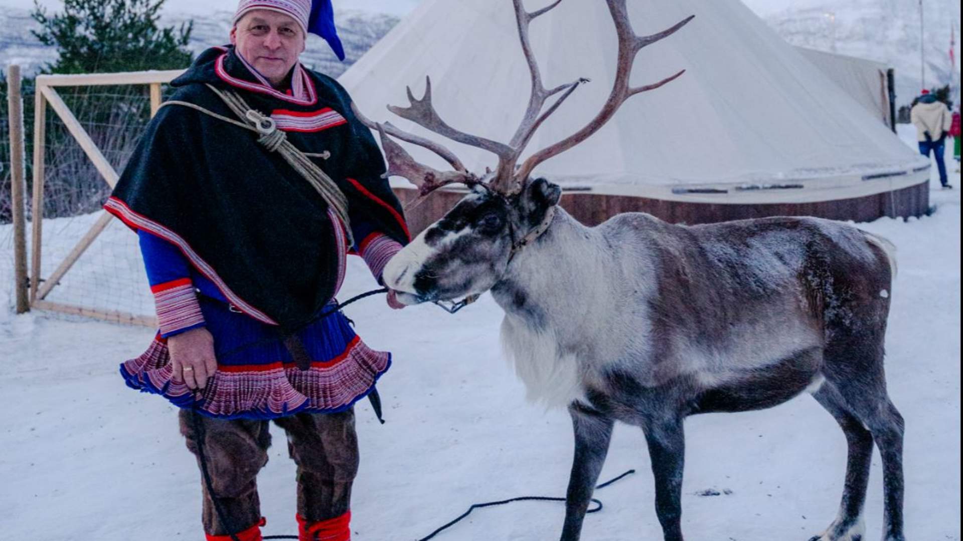 Reinsledekjøring i Skibotndalen - kveldstur med the Samiway