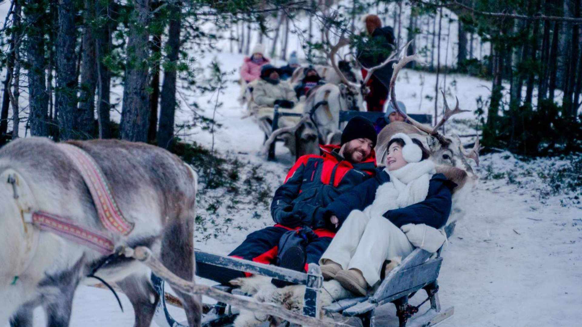 Reinsledekjøring i Skibotndalen - kveldstur med the Samiway