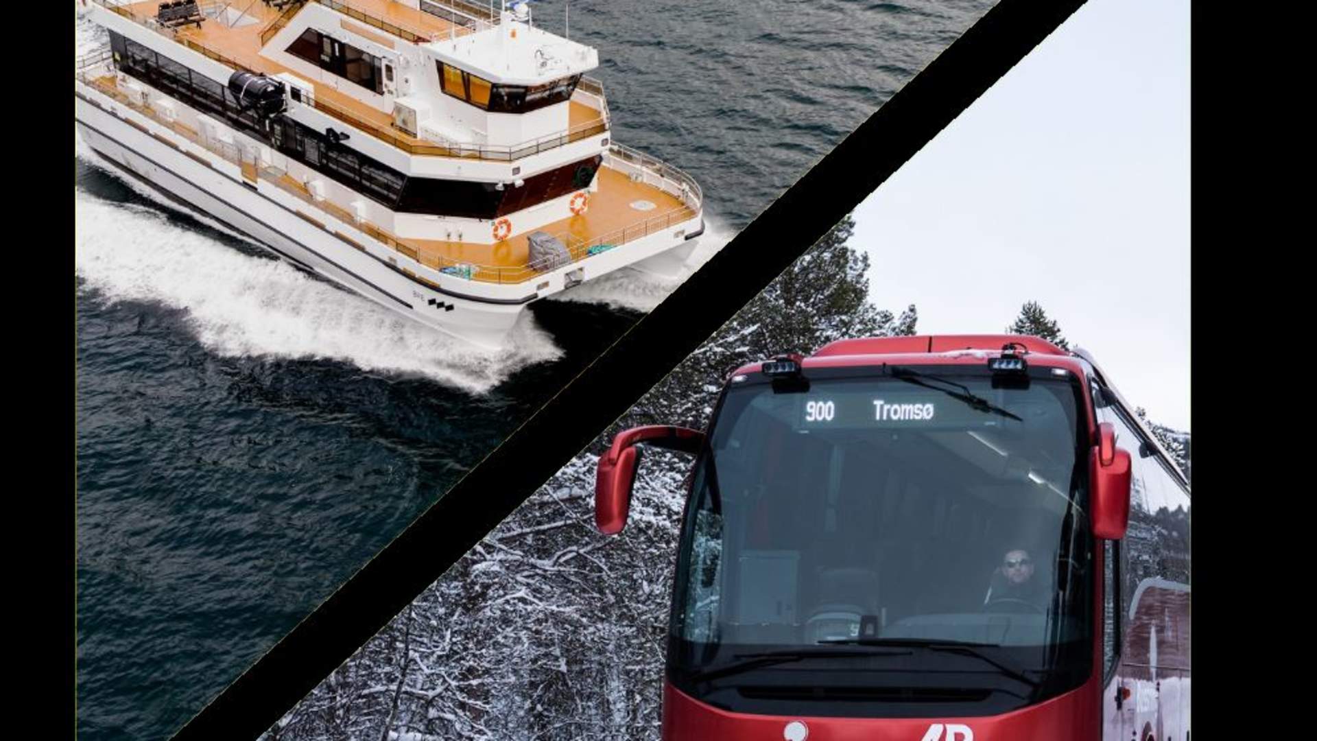 Whale Watching with scenic roadtrip